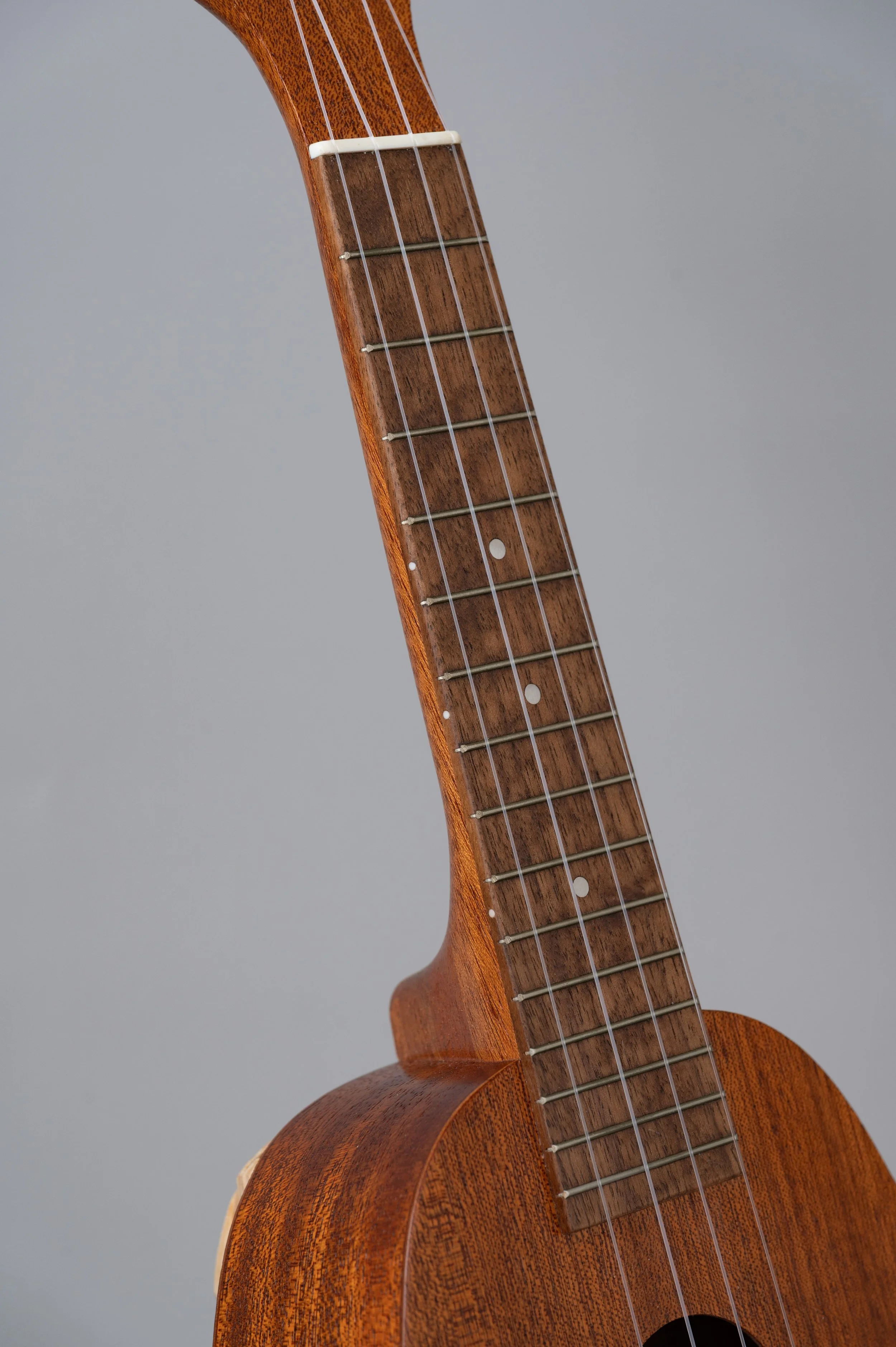 Famous FS-2PG-2781.jpg