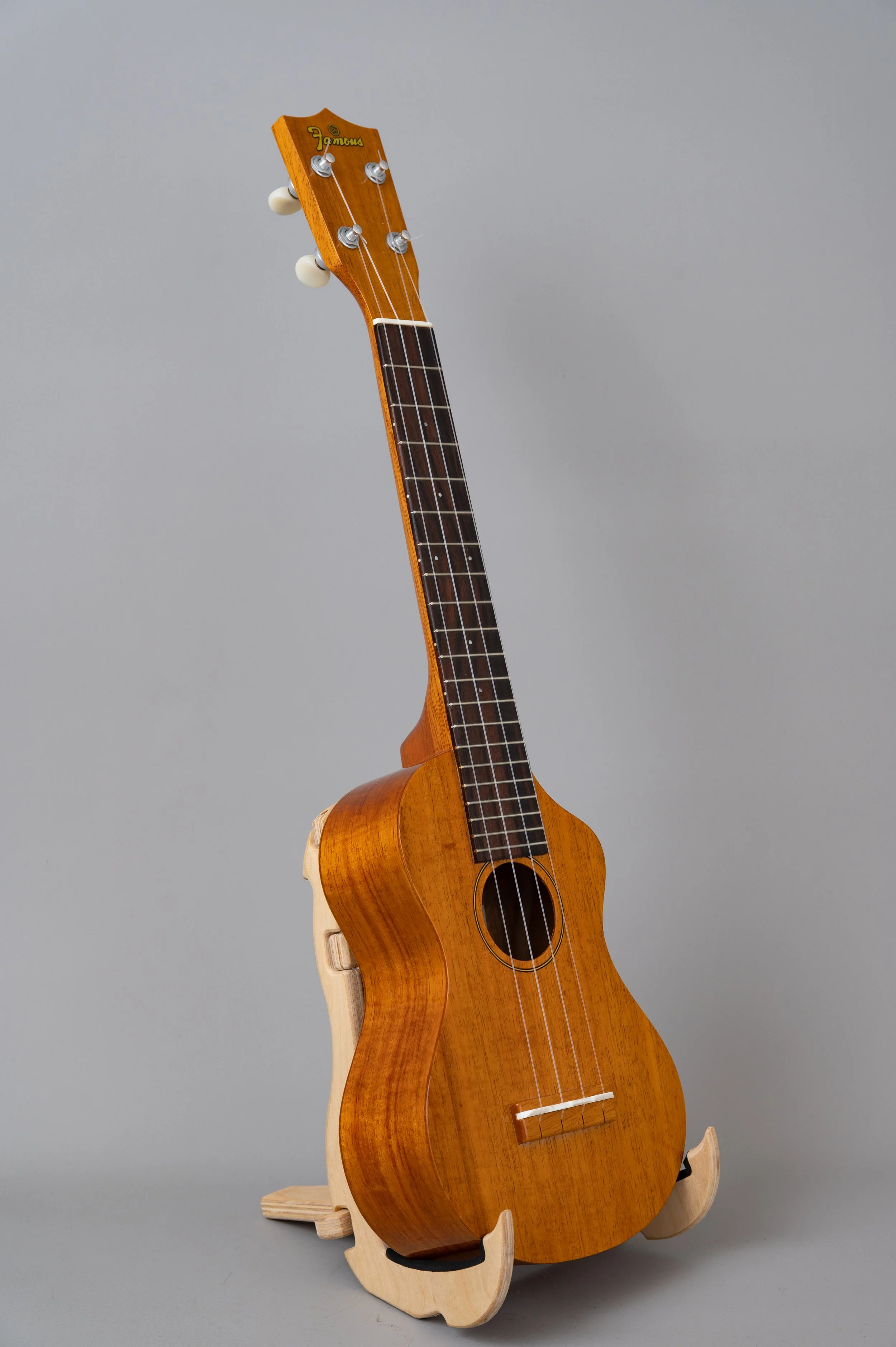 Famous FLS-5GC-2916.jpg