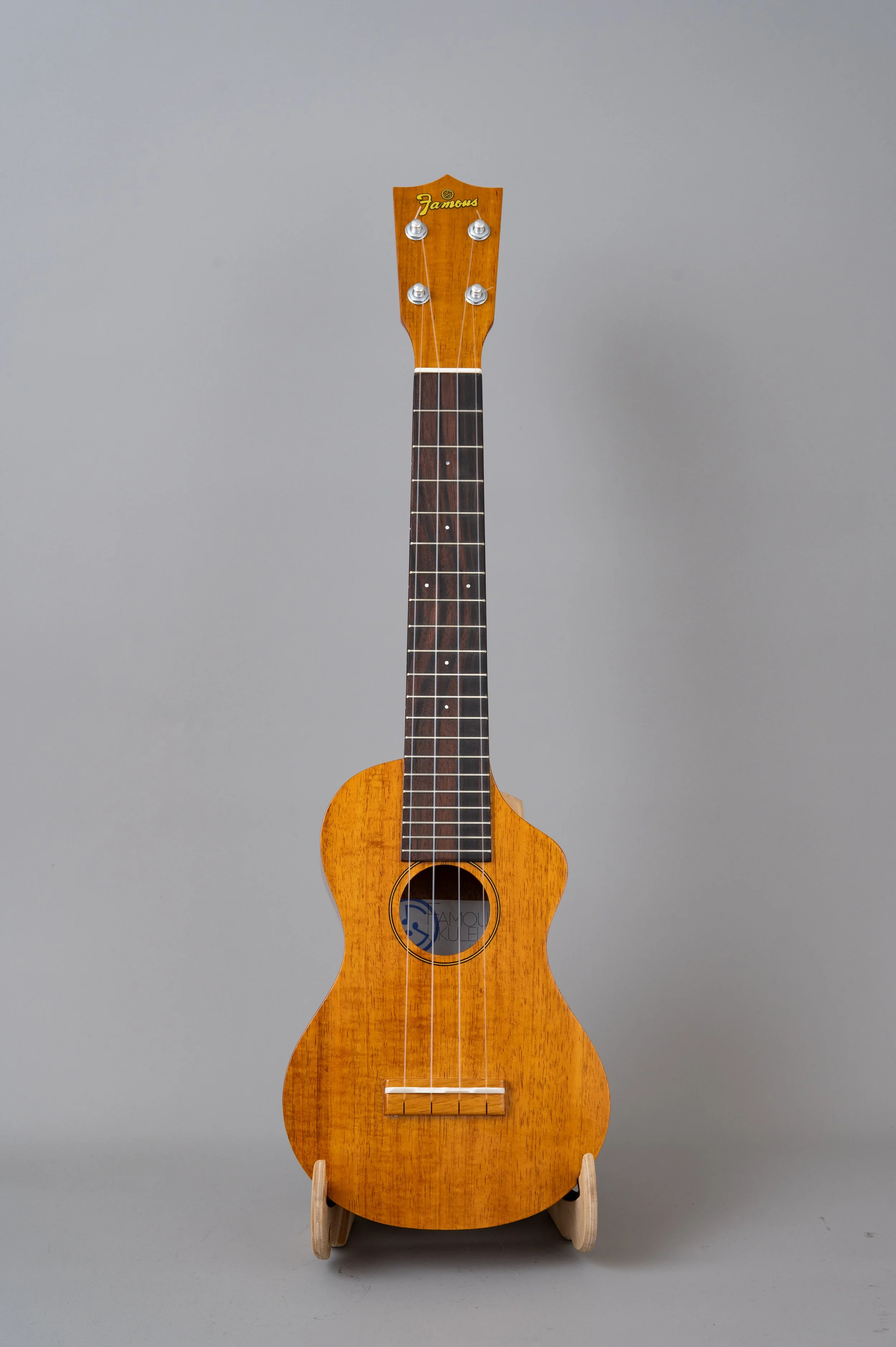Famous FLS-5GC-2902.jpg