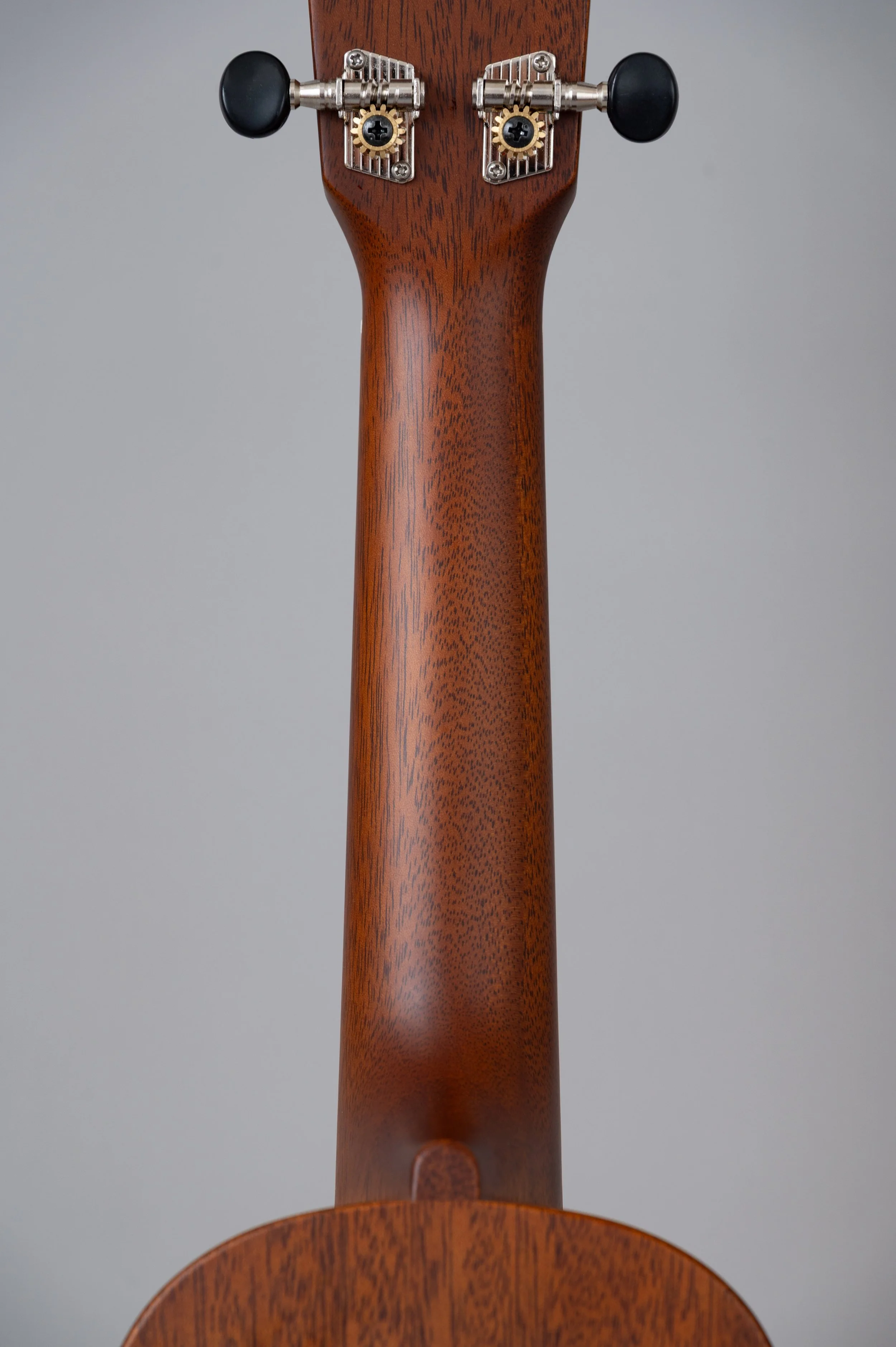 Kiwaya LS-2936.jpg