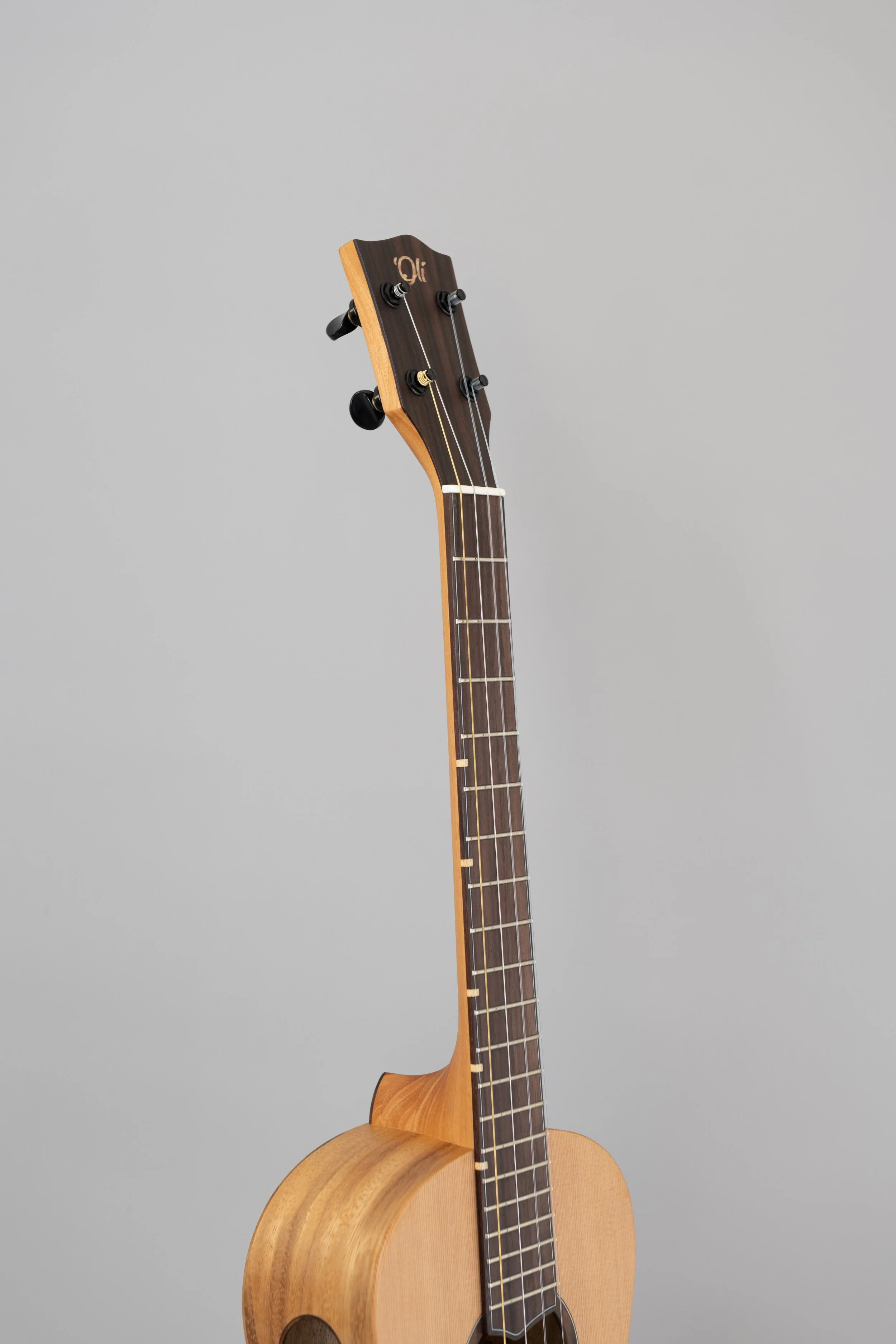 'Oli L1-BCAS-9.JPG