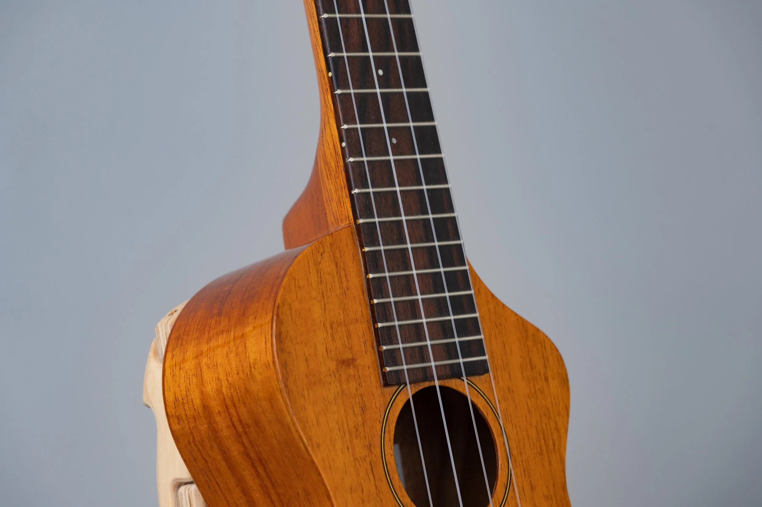 Famous FLS-5GC-2921.jpg