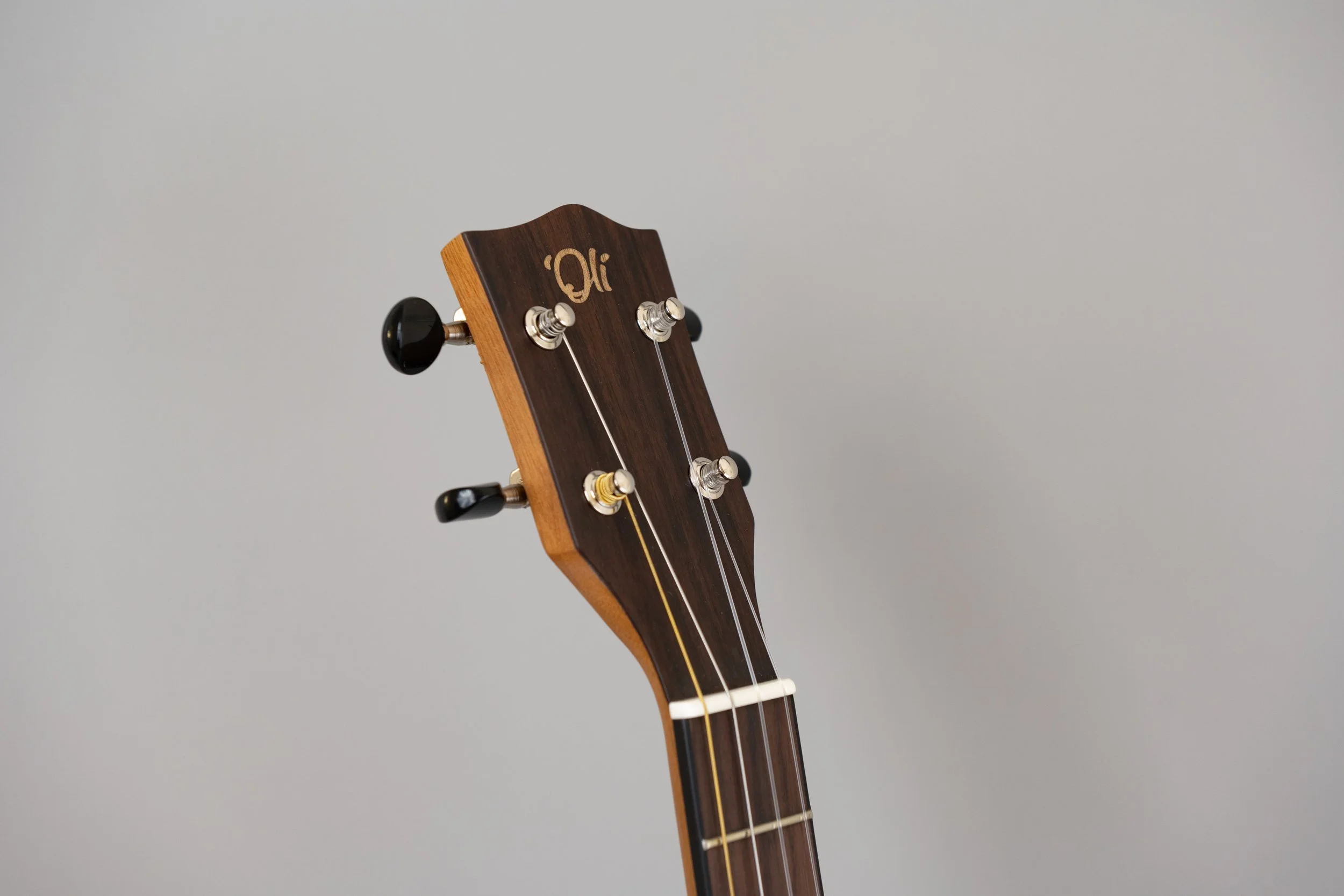 'Oli L-BMG-S-8.JPG