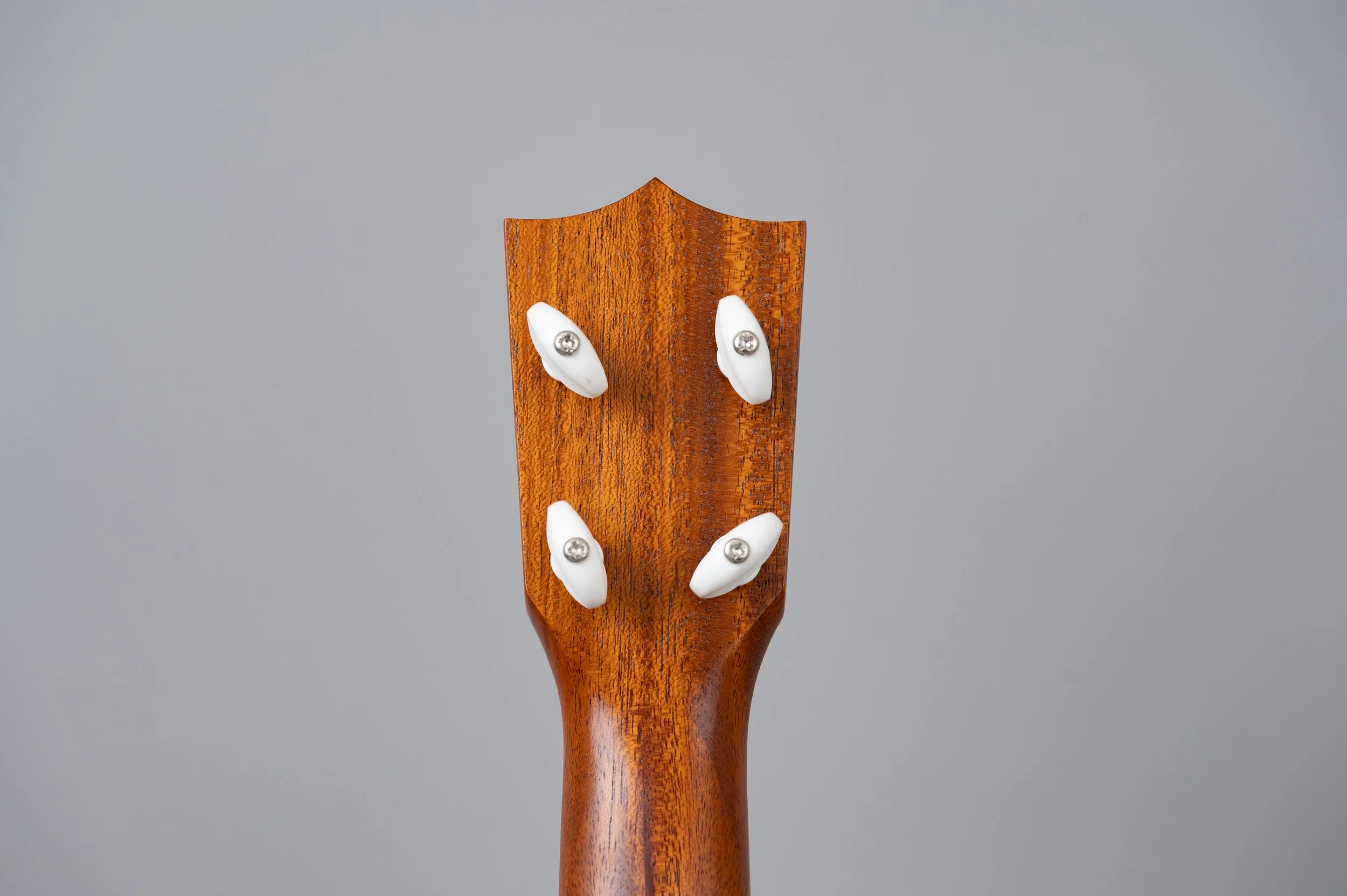 Kiwaya KS-1-2694.jpg