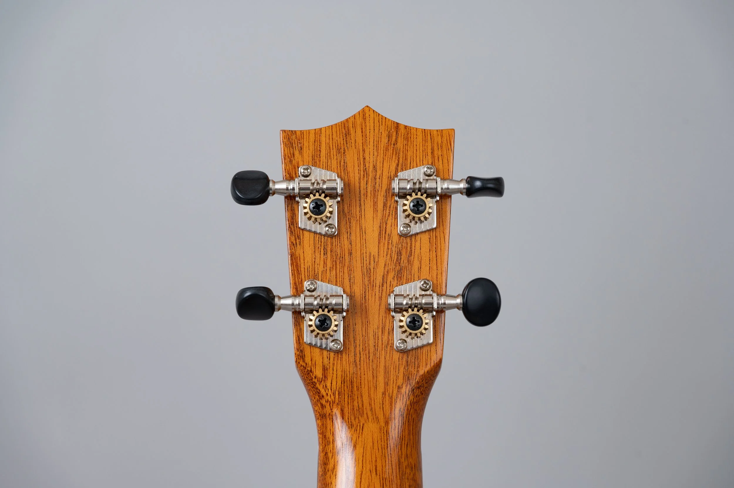 Kiwaya KLS-2G-2584.jpg