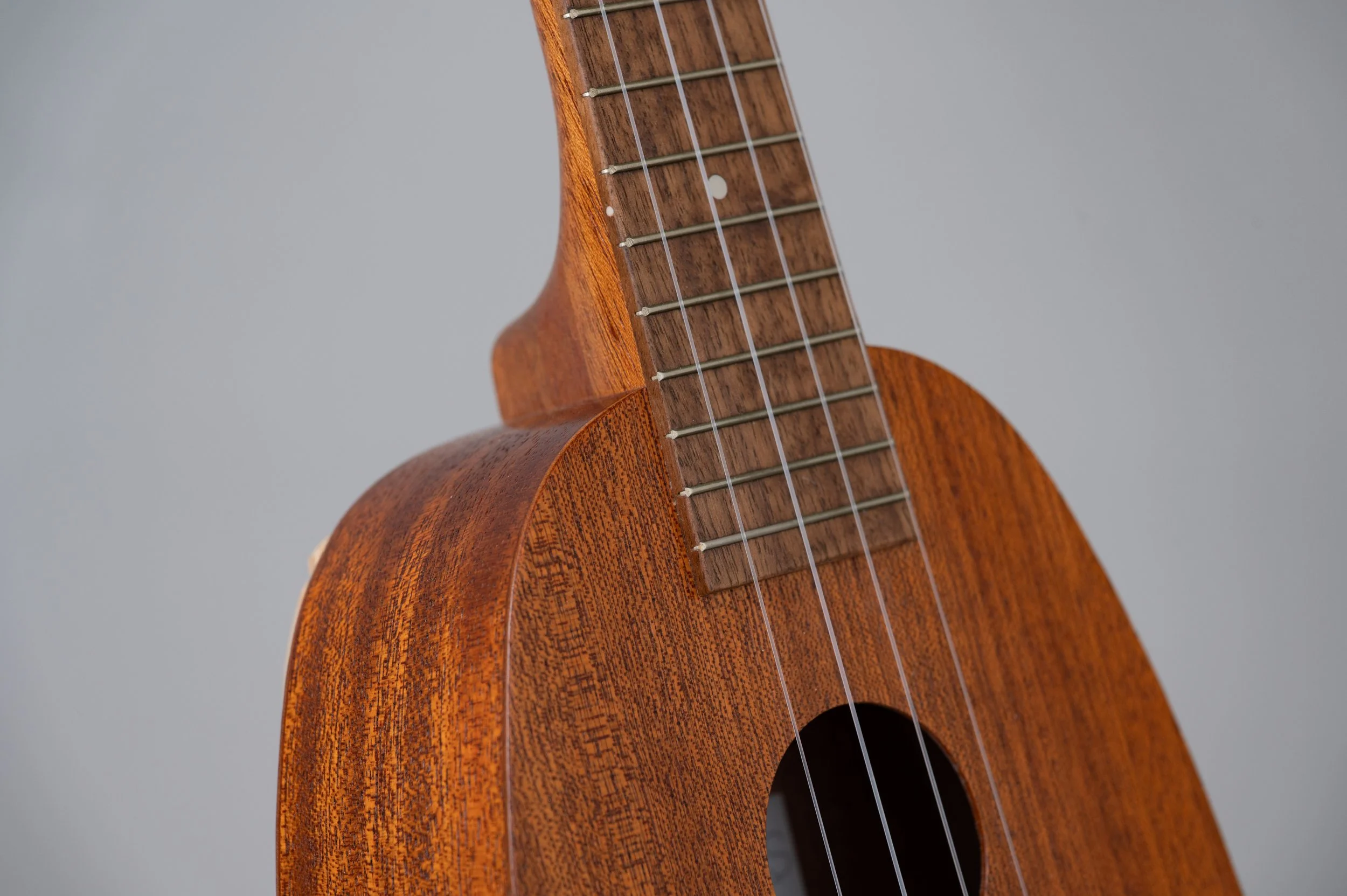 Famous FS-2PG-2783.jpg