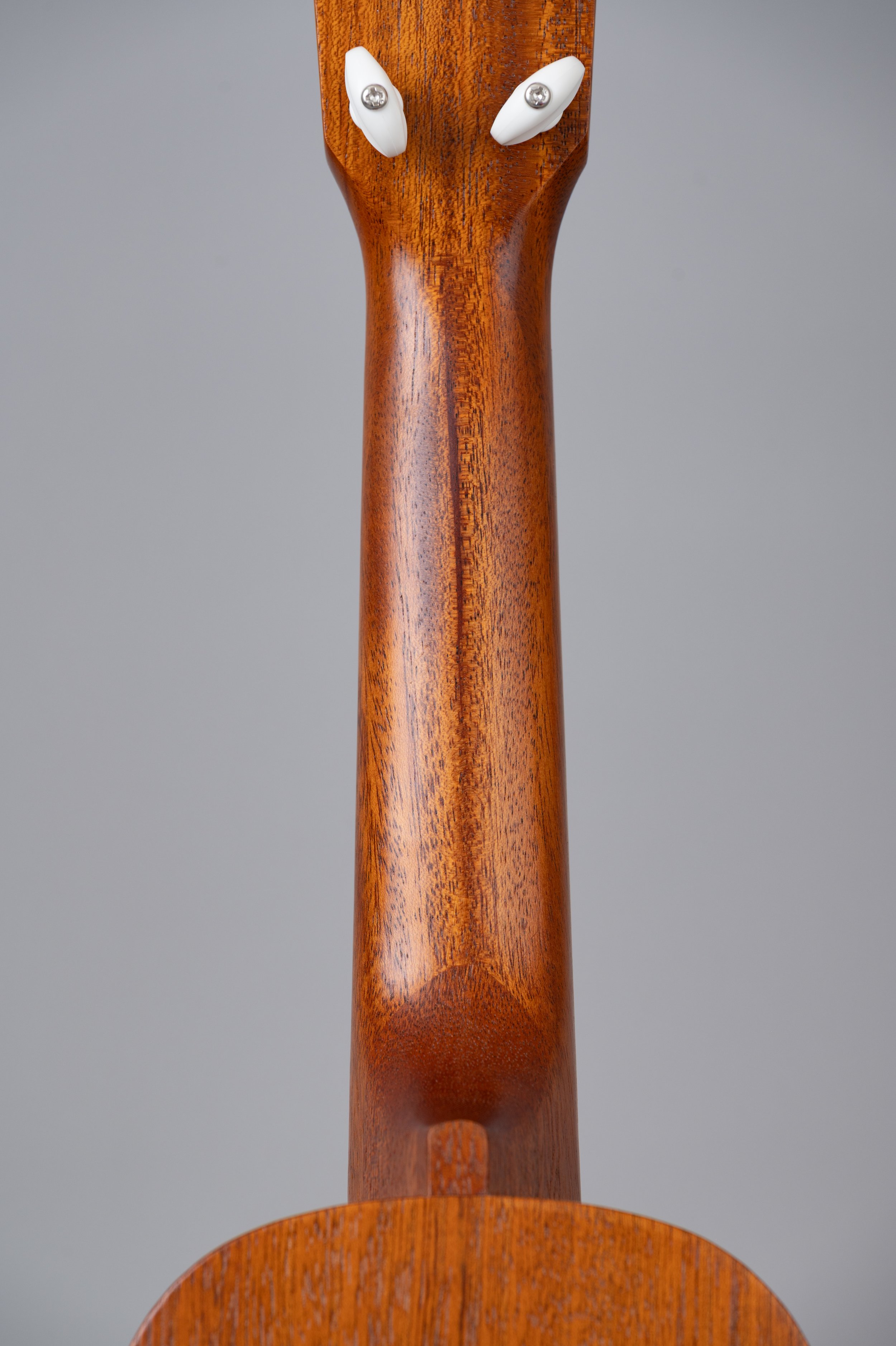 Kiwaya KS-1-2695.jpg