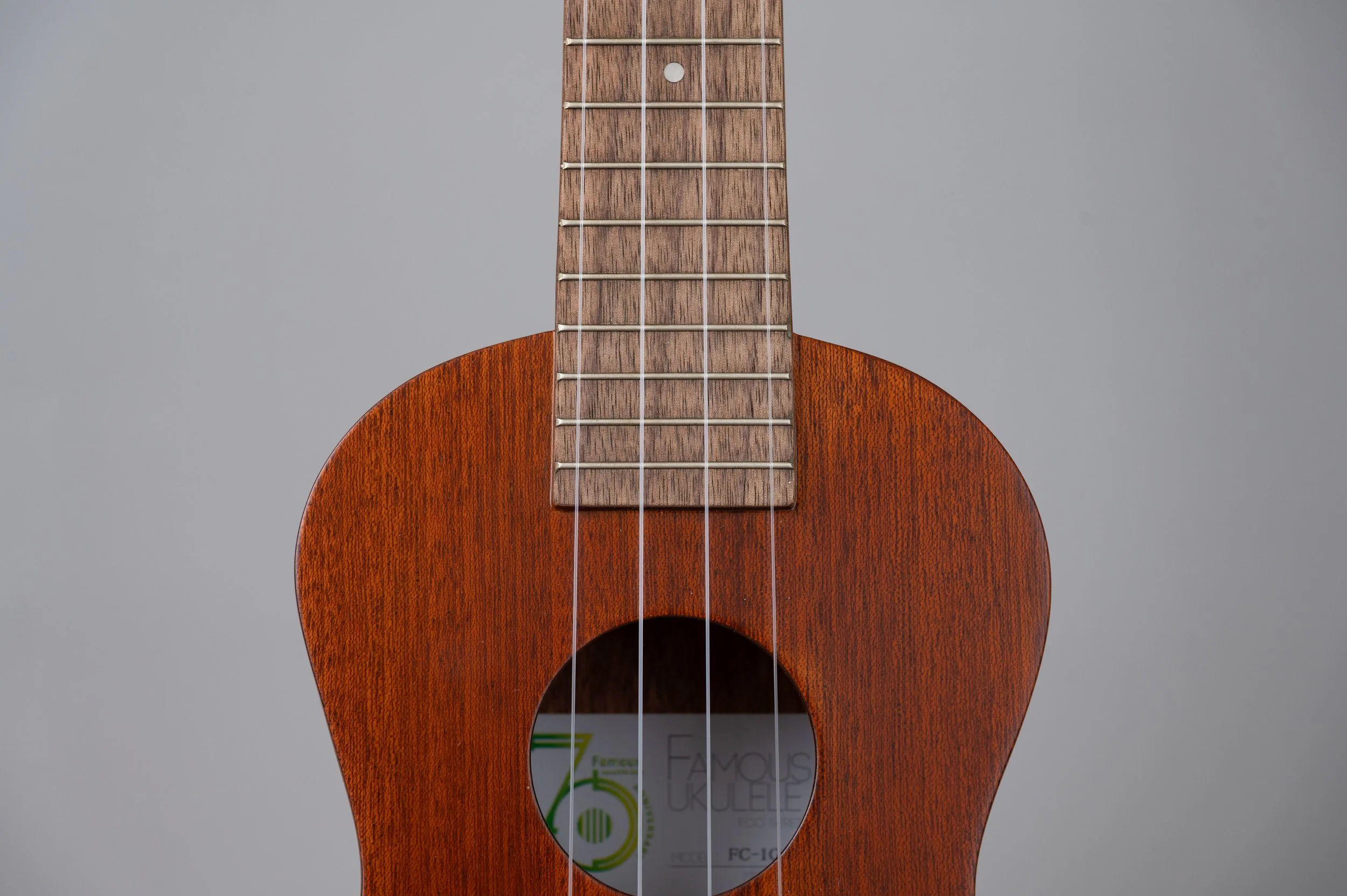 Famous FC-1G-2861.jpg