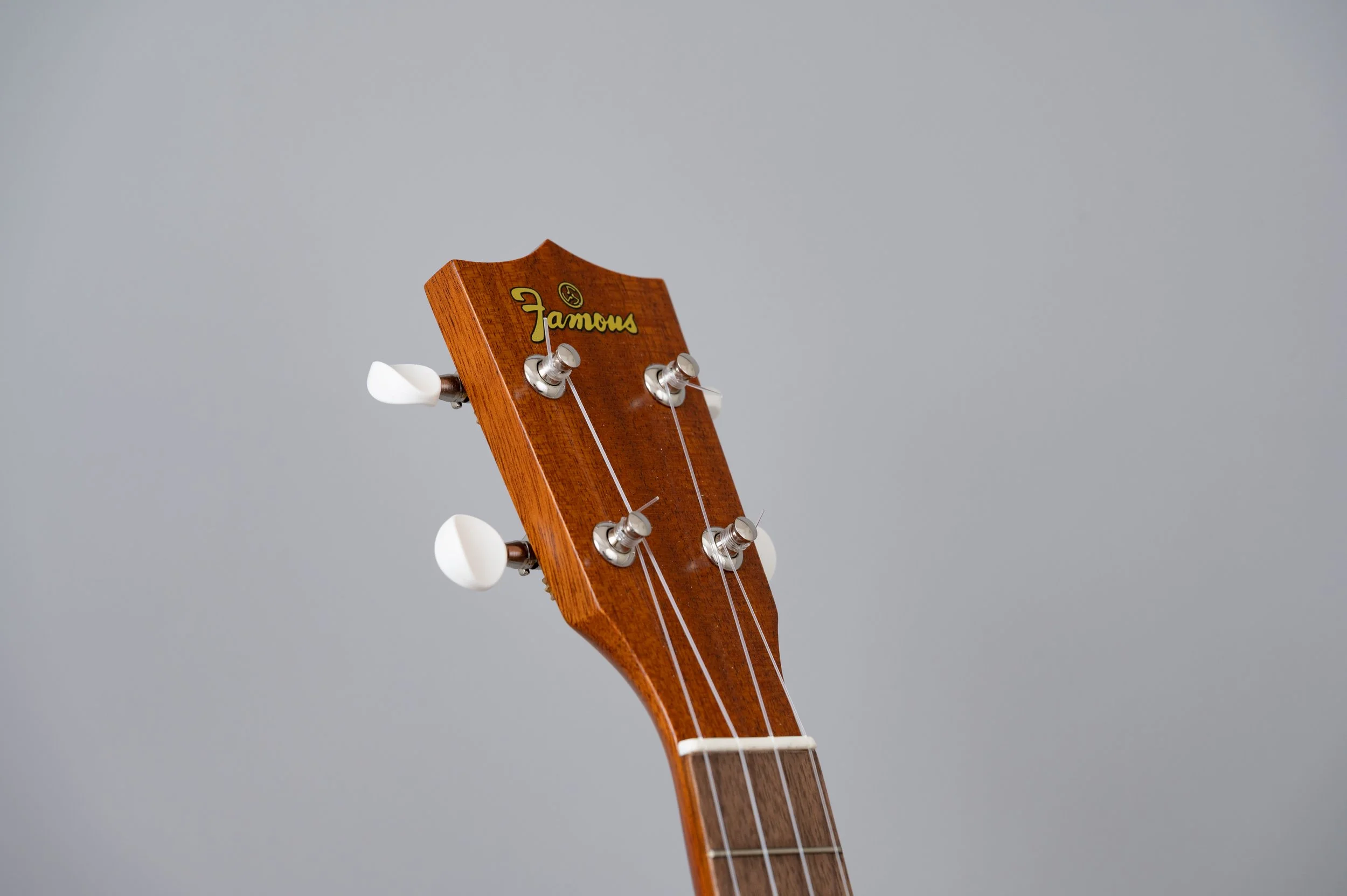Famous FC-1G-2872.jpg