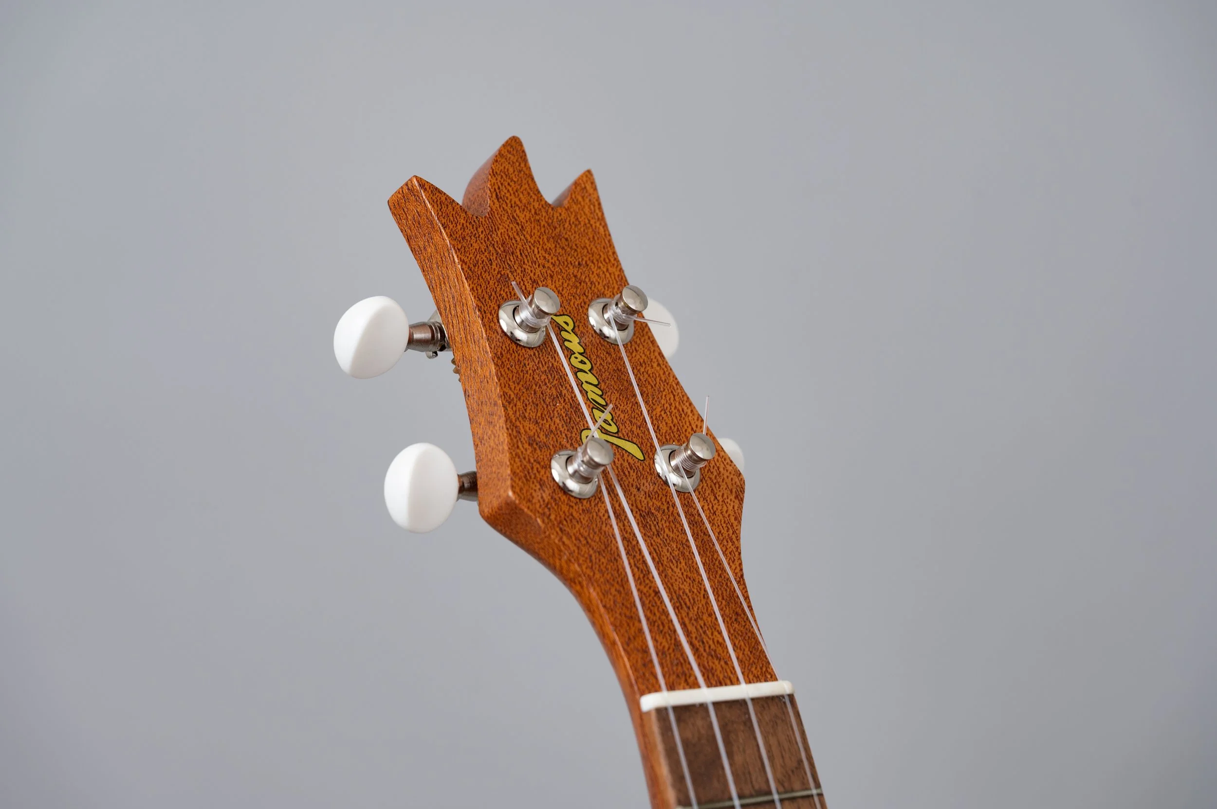 Famous FS-2PG-2780.jpg
