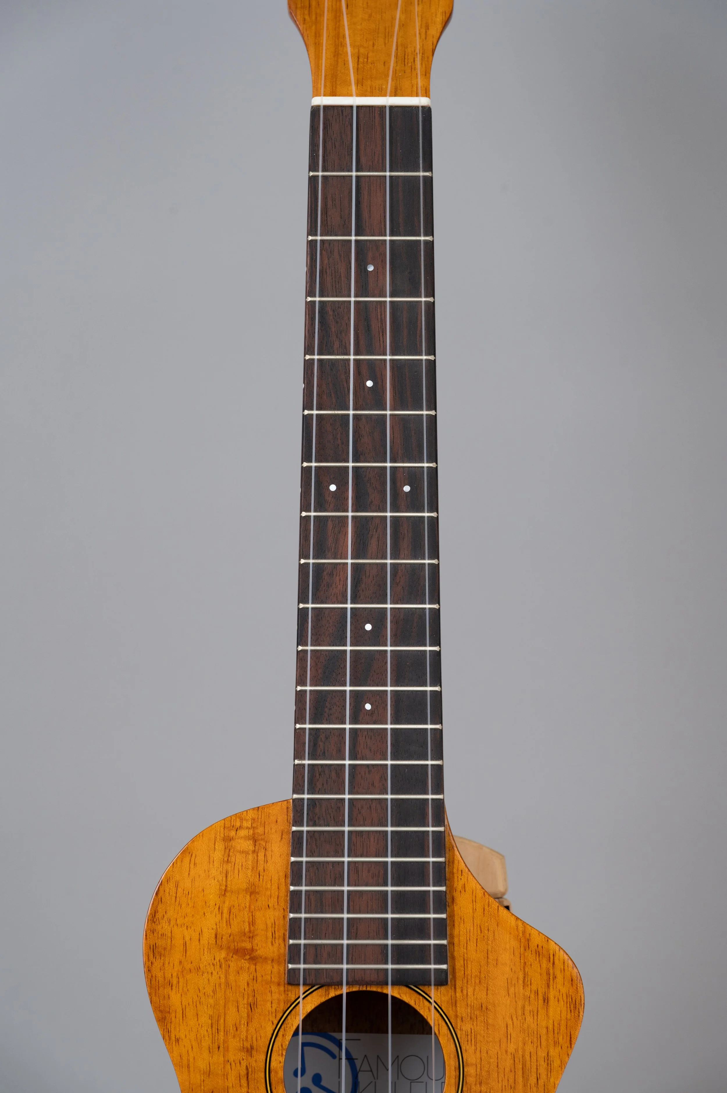 Famous FLS-5GC-2905.jpg