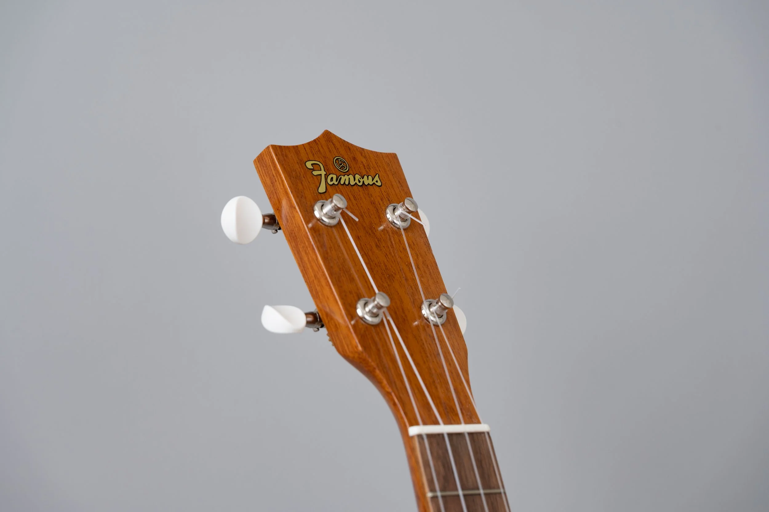 Famous FC-5G-2895.jpg