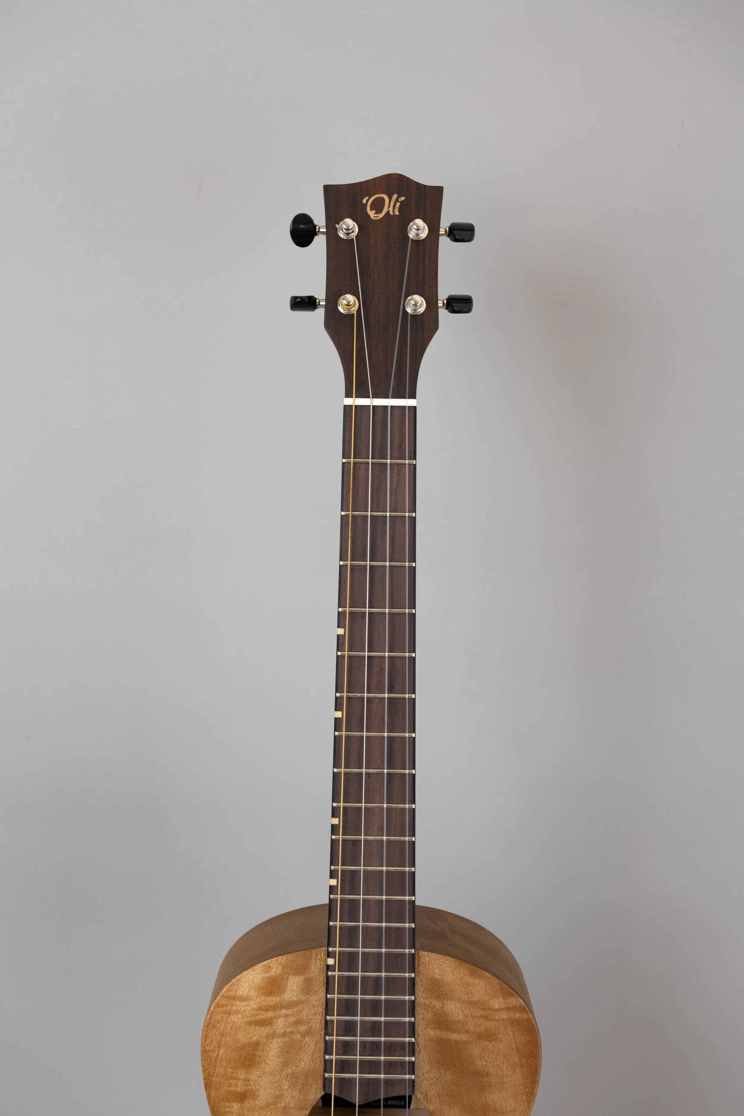 'Oli L-BMG-S-3.JPG