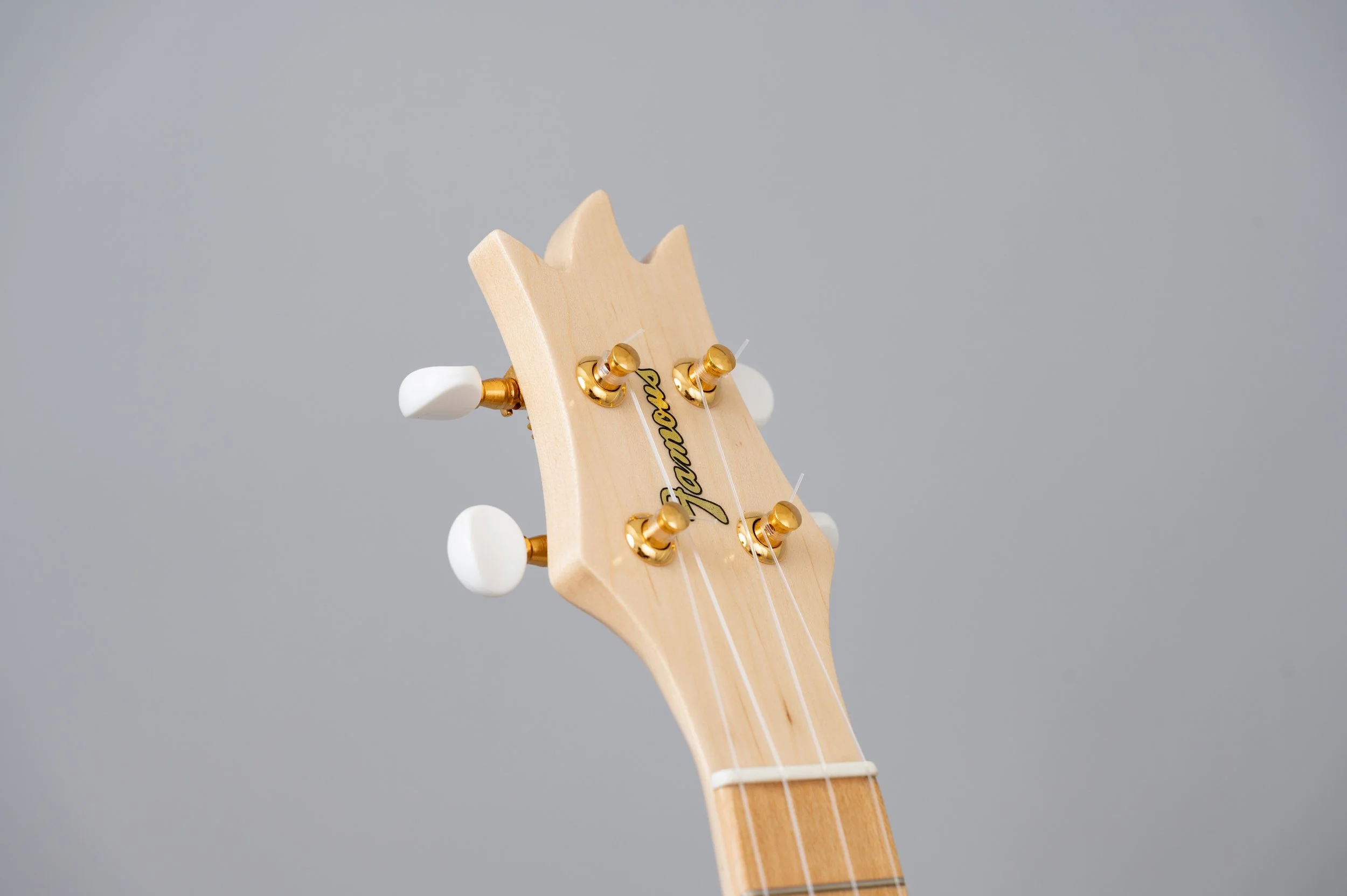 Famous FS-S10PN-2757.jpg
