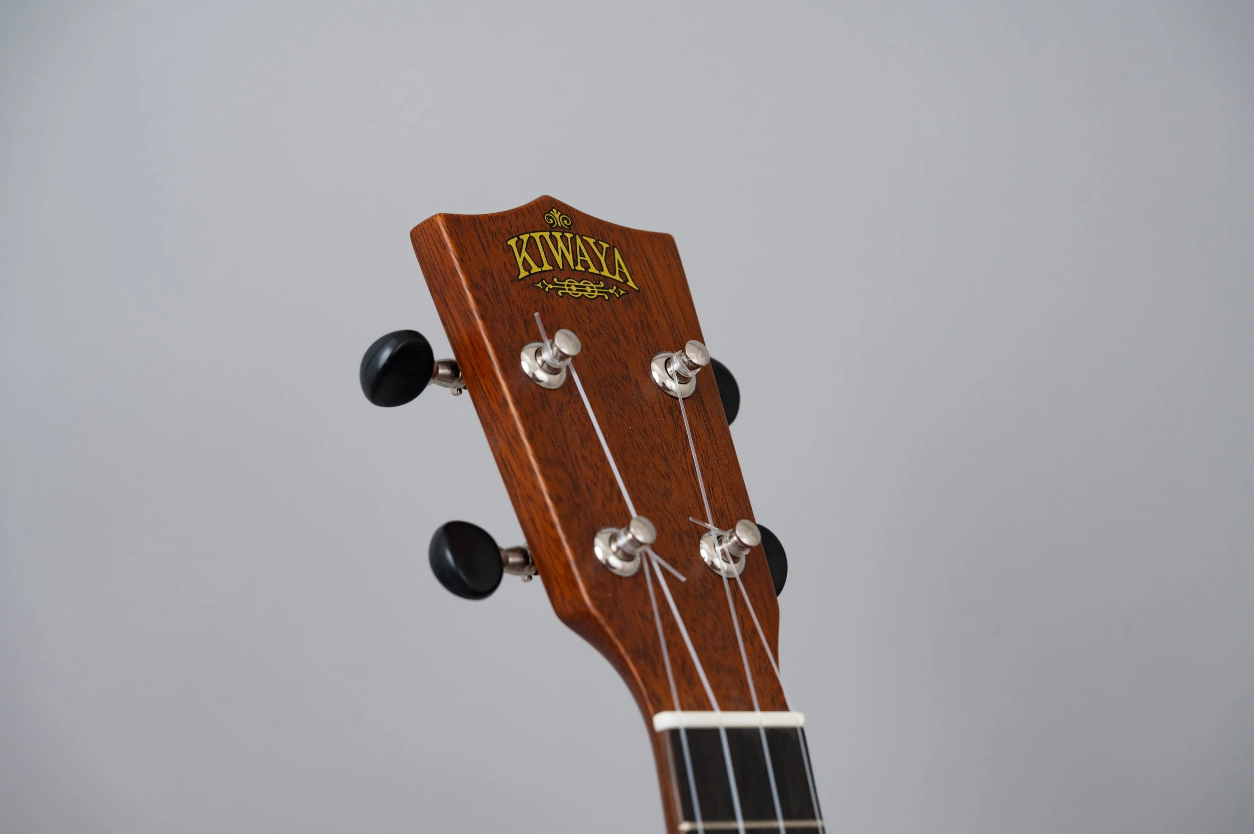 Kiwaya LS-2941.jpg
