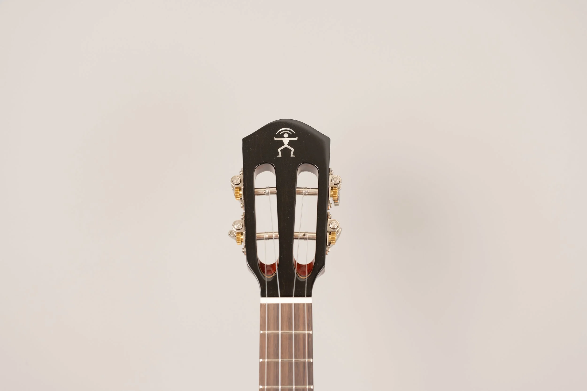 aNueNue AMM2 Concert-2.JPG
