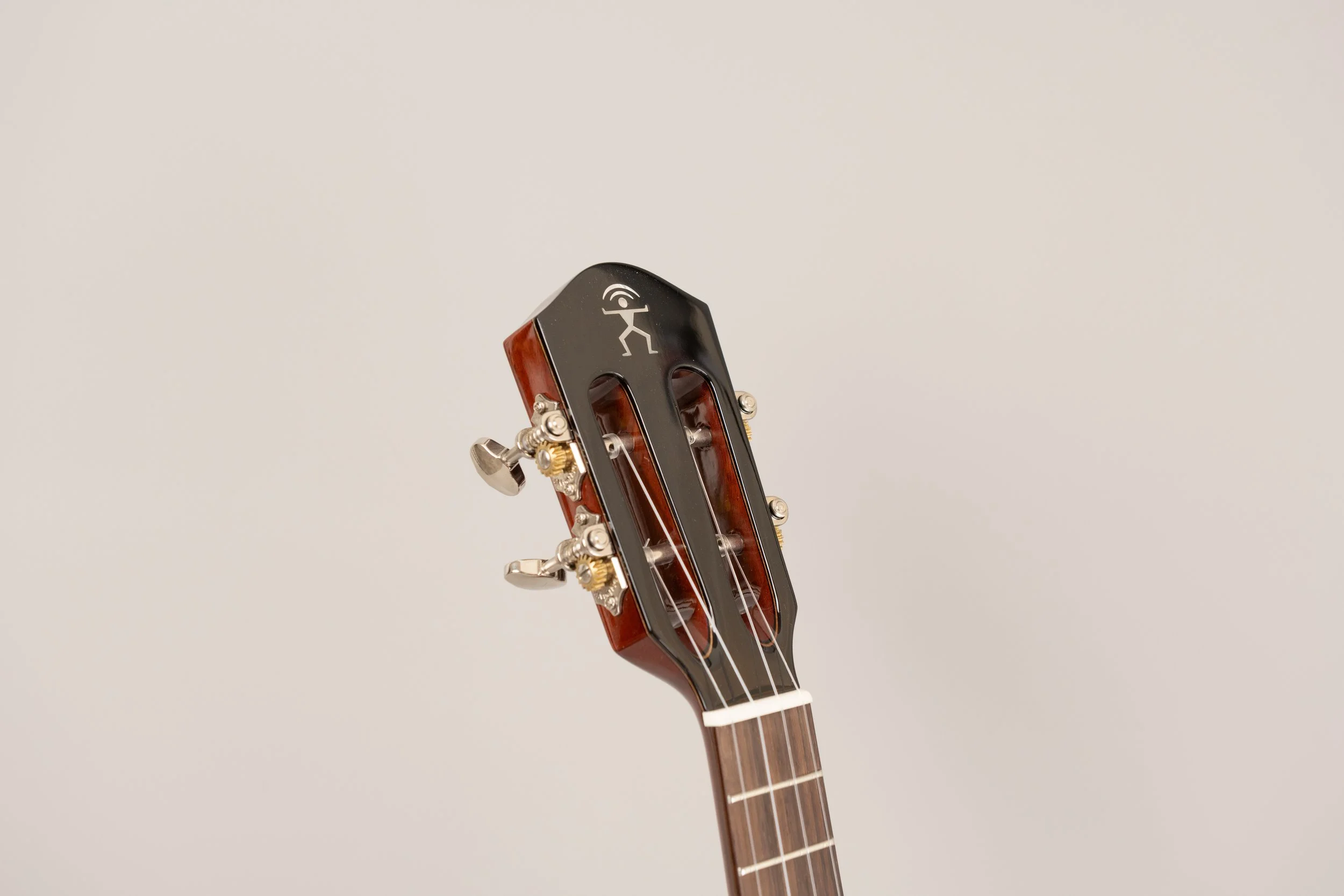 aNueNue AMM2 Concert-7.JPG