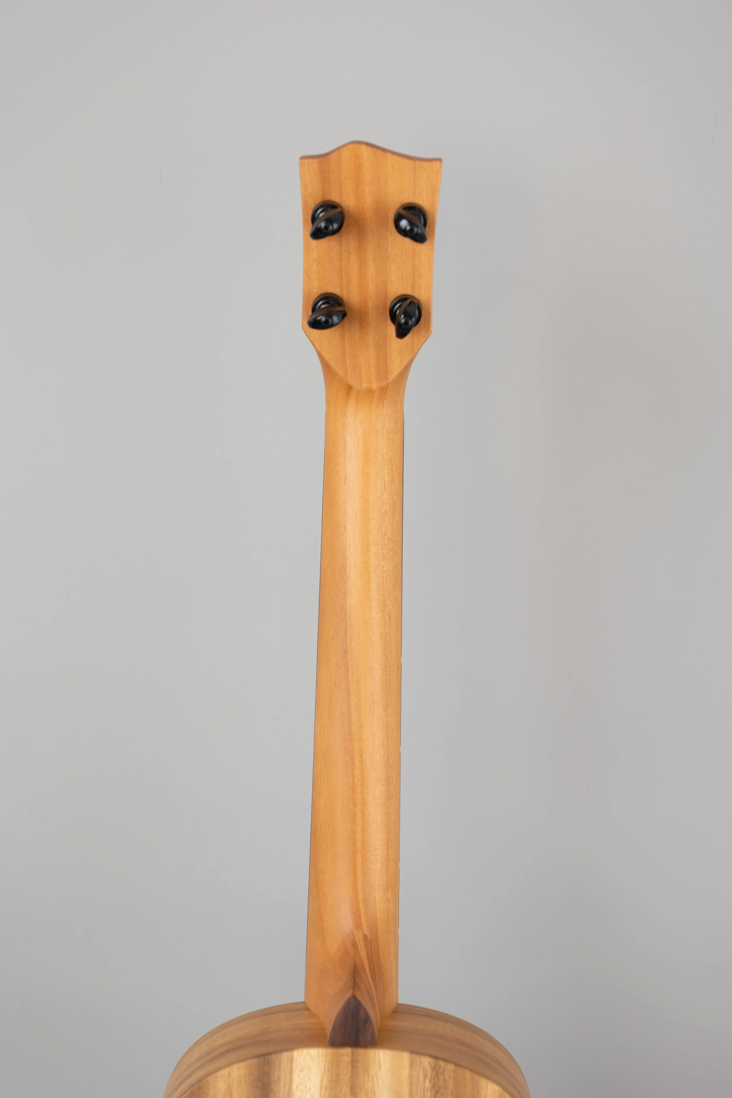 'Oli L1-BCAS-15.JPG
