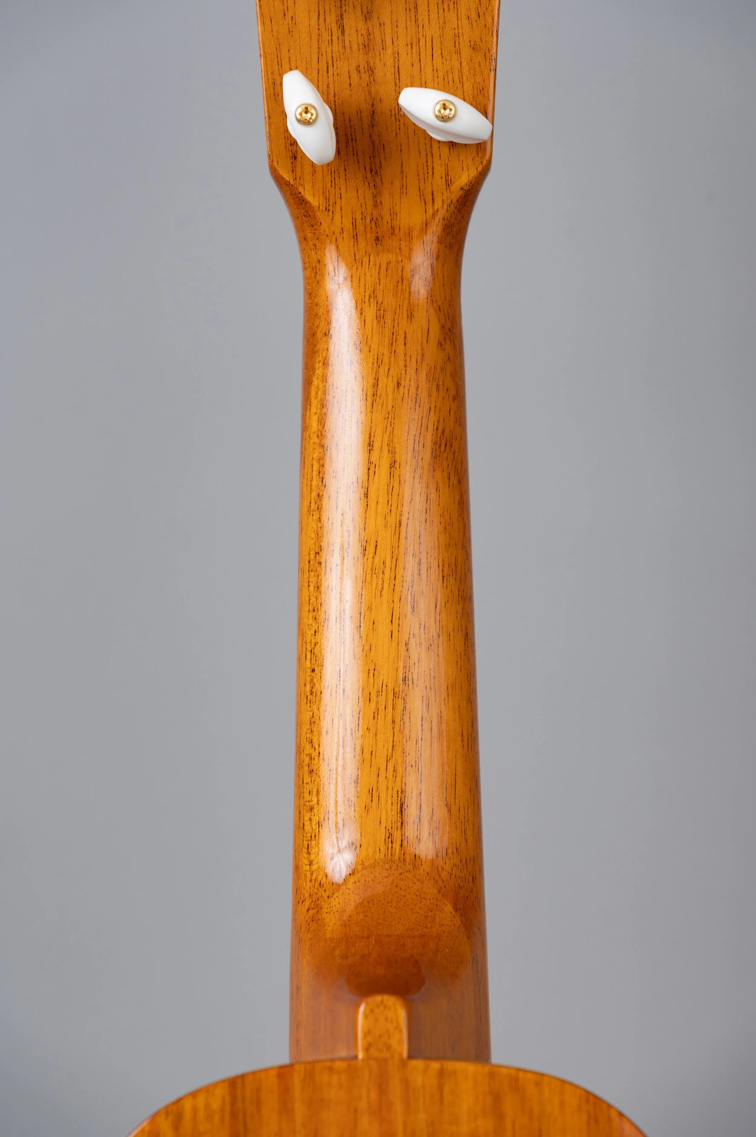 Kiwaya KS-5-2822.jpg