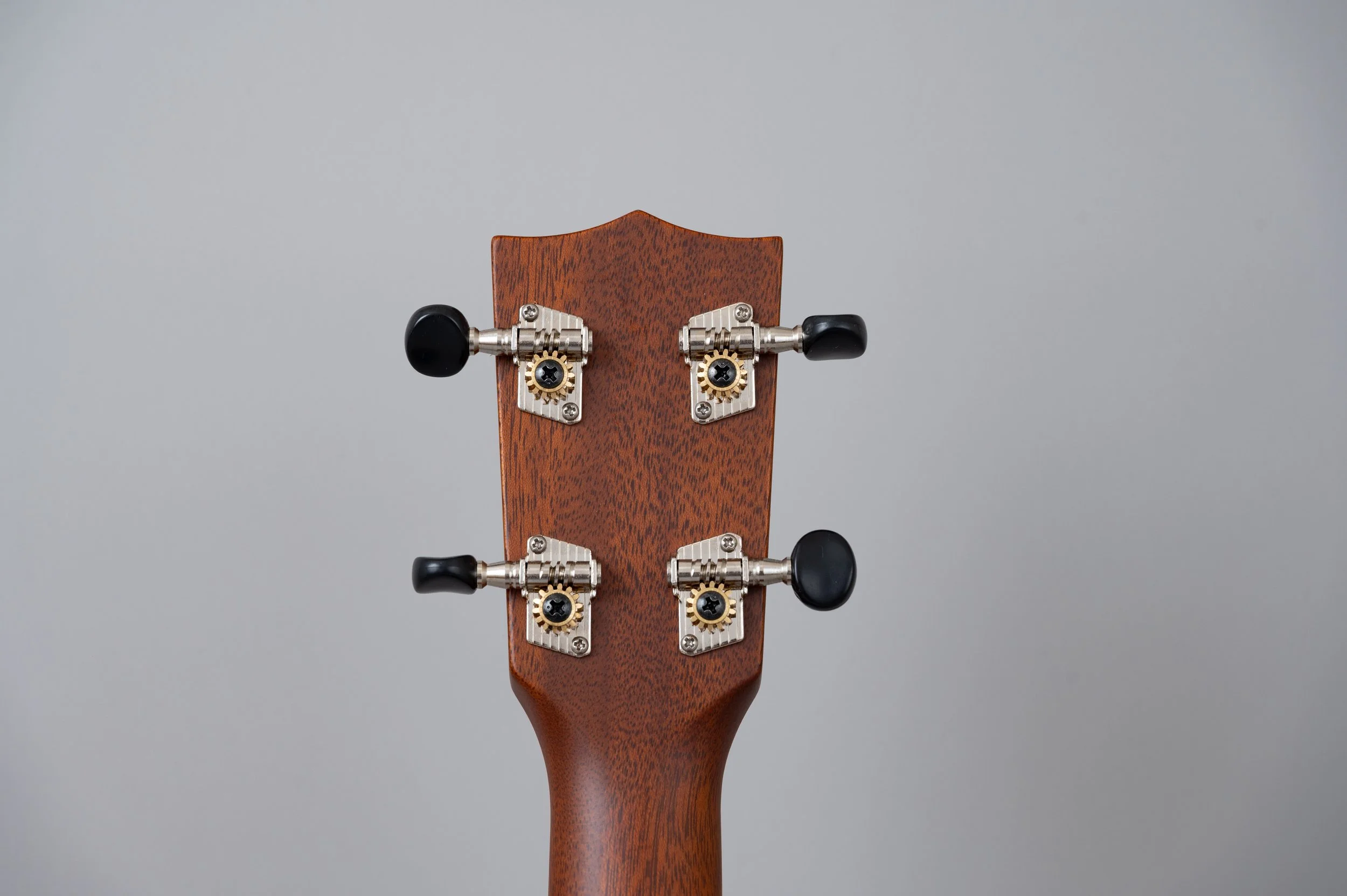 Kiwaya LC-2959.jpg