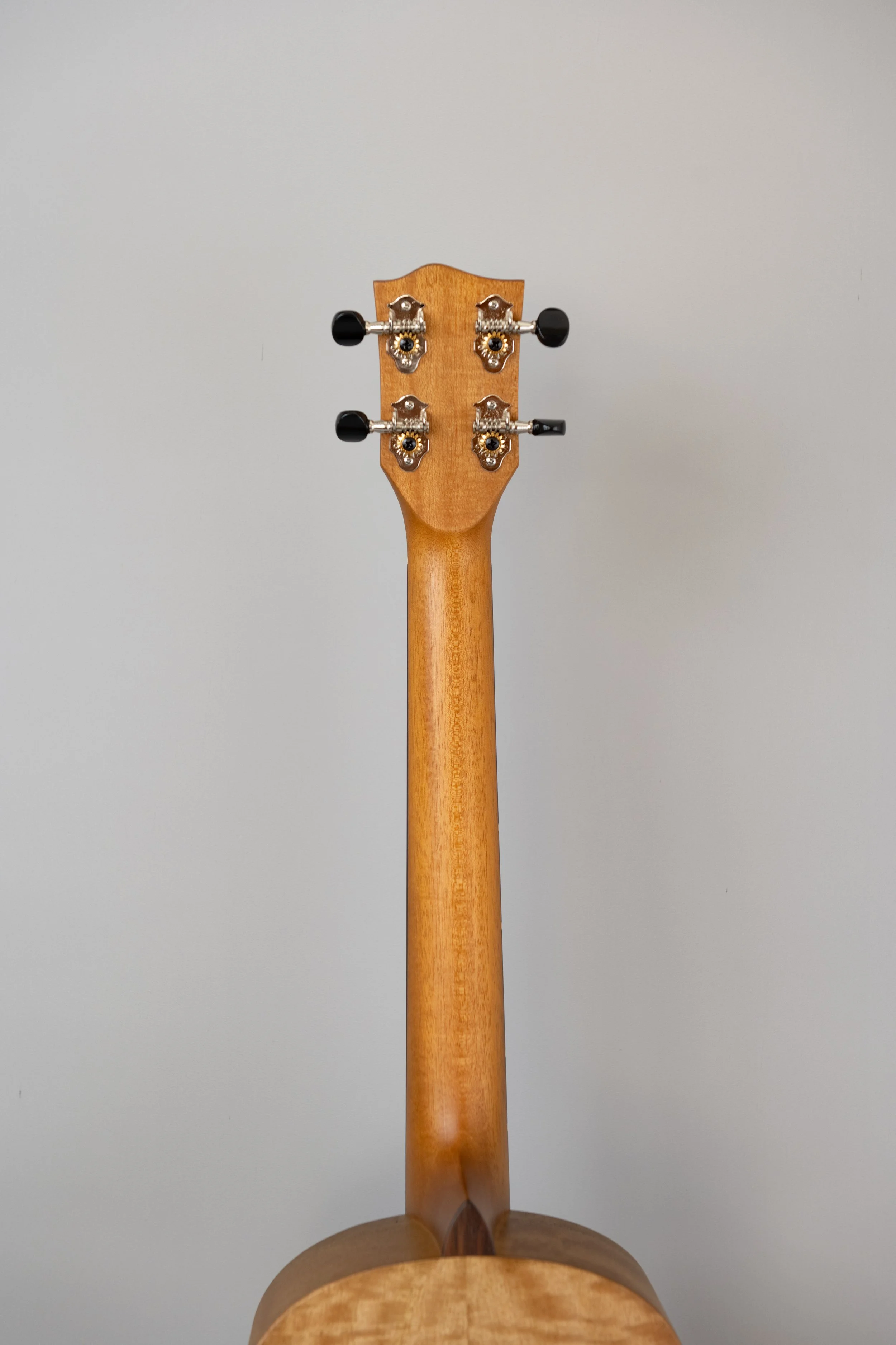 'Oli L-BMG-S-14.JPG