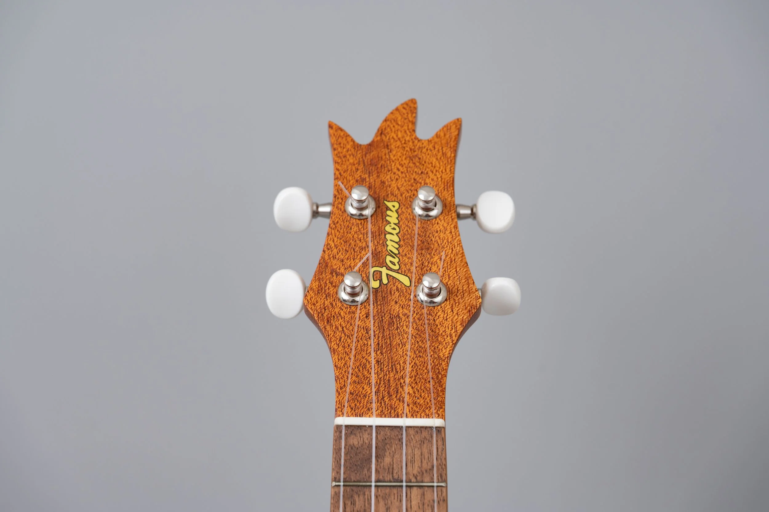 Famous FS-2PG-2766.jpg