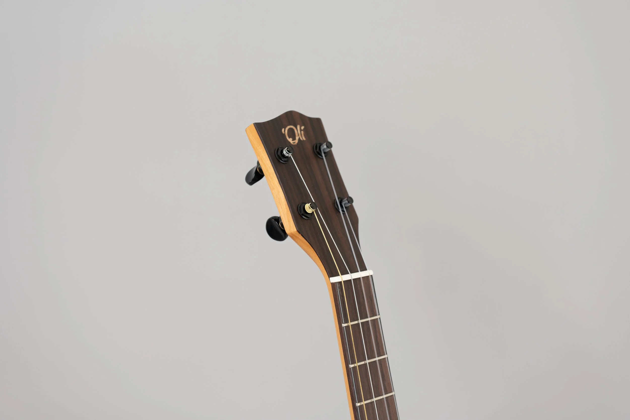 'Oli L1-BCAS-8.JPG