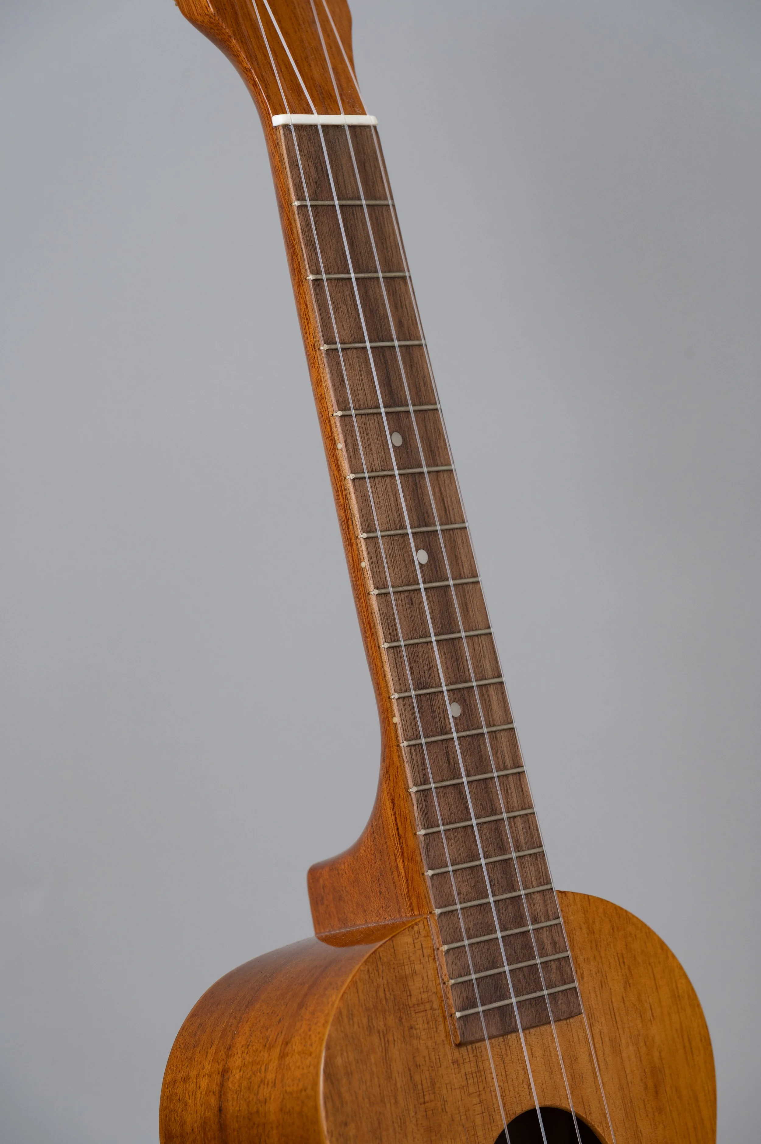 Famous FC-5G-2896.jpg