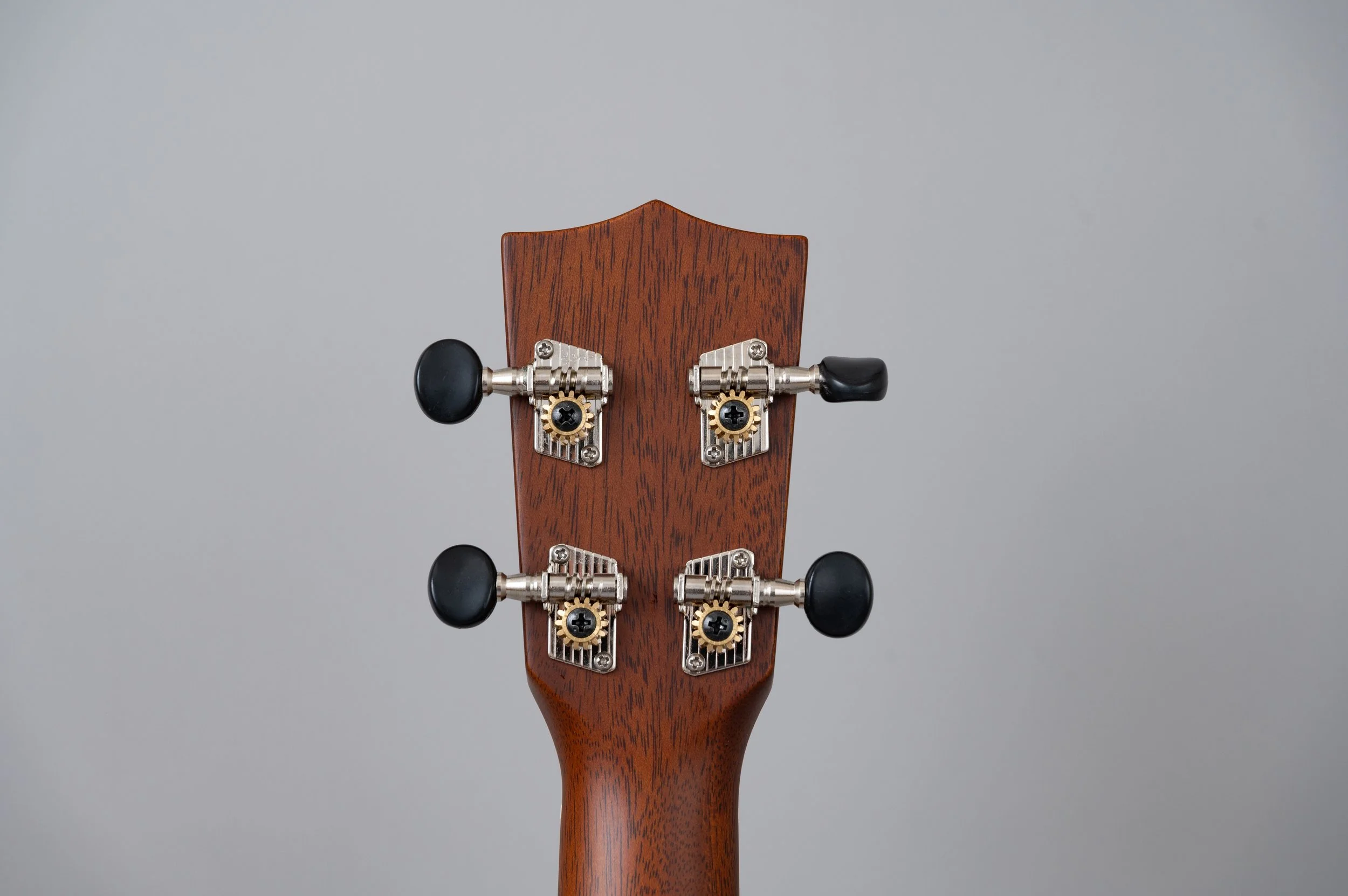 Kiwaya LS-2935.jpg