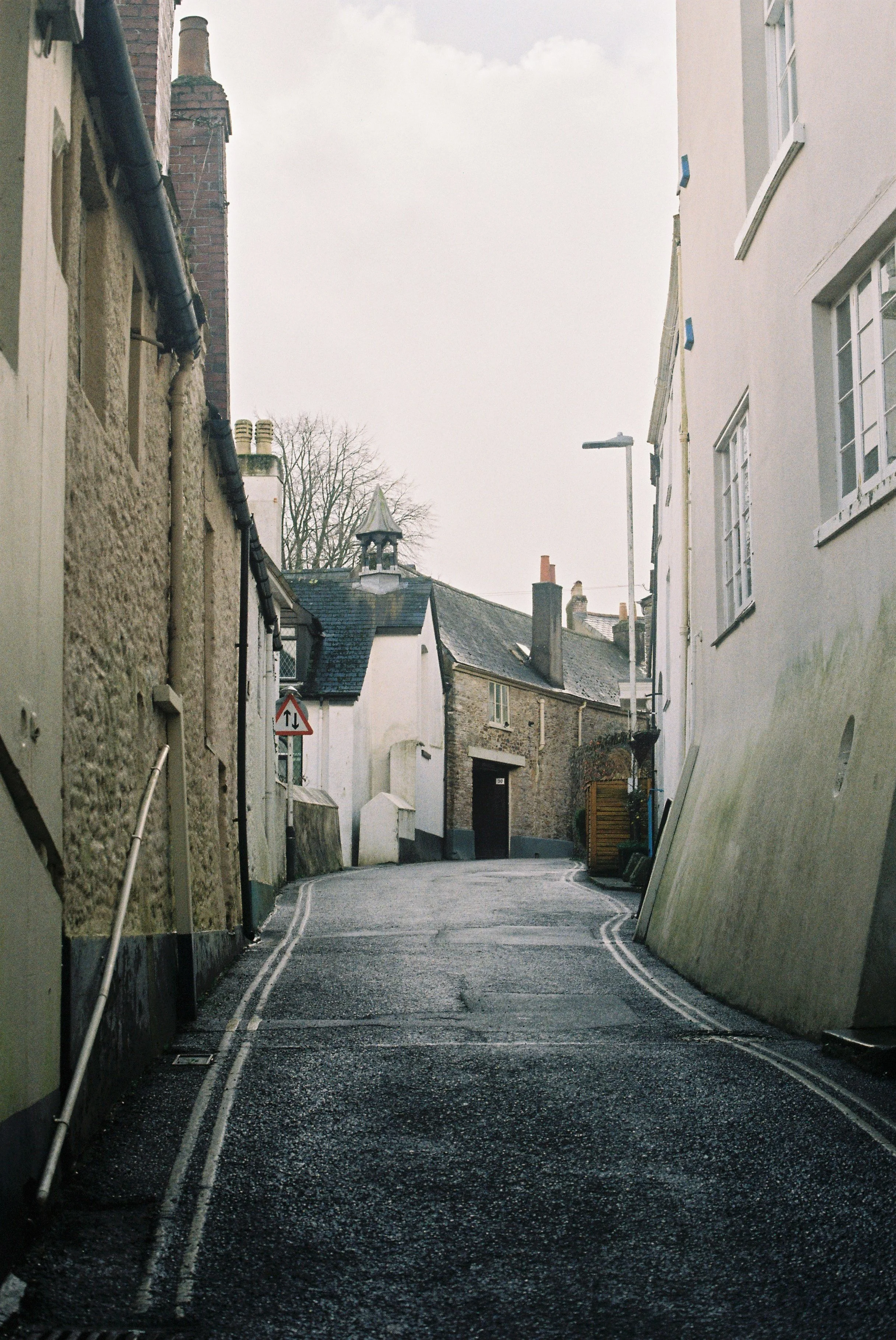totnes_2026_ (2).JPG