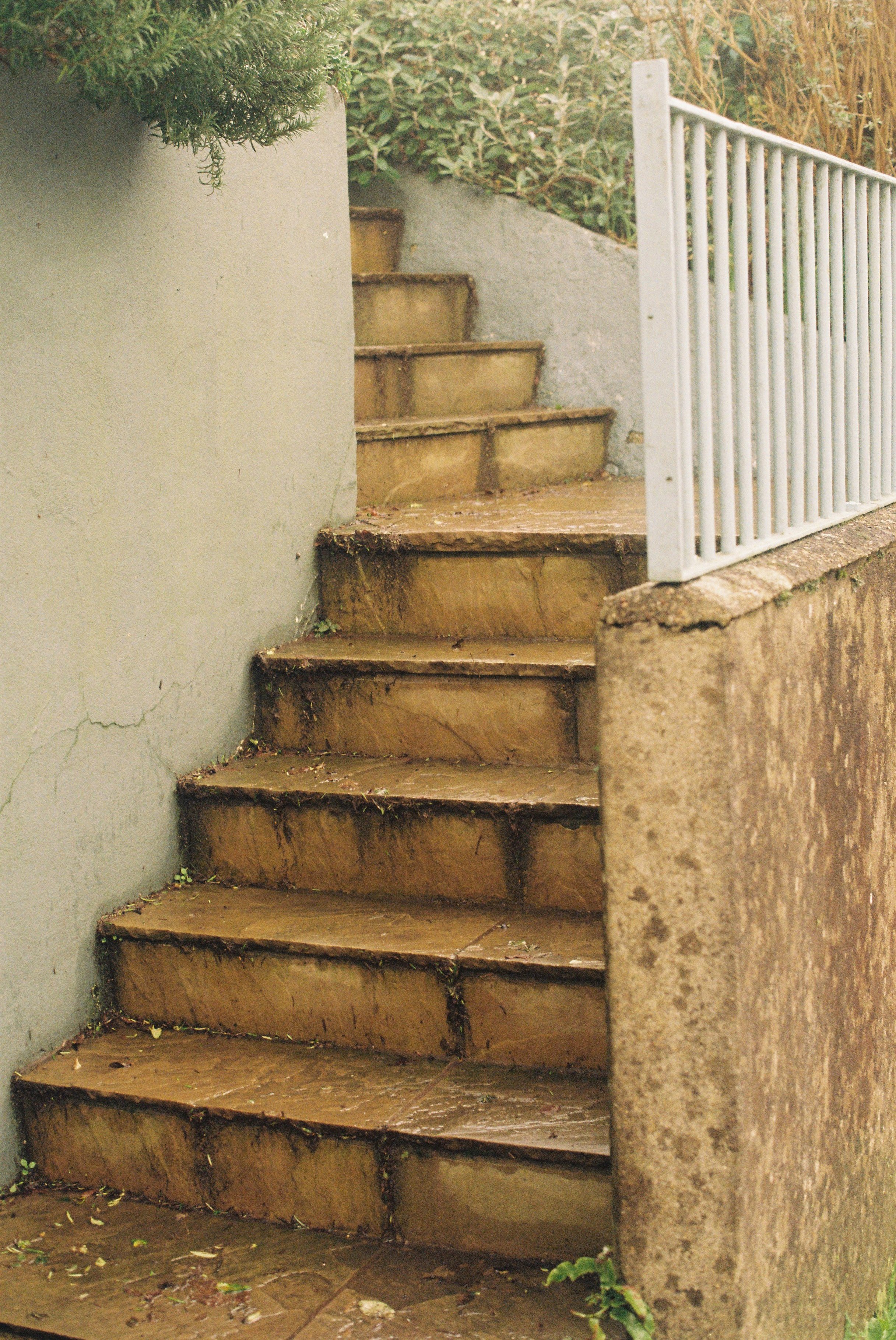 totnes_2026_ (8).JPG
