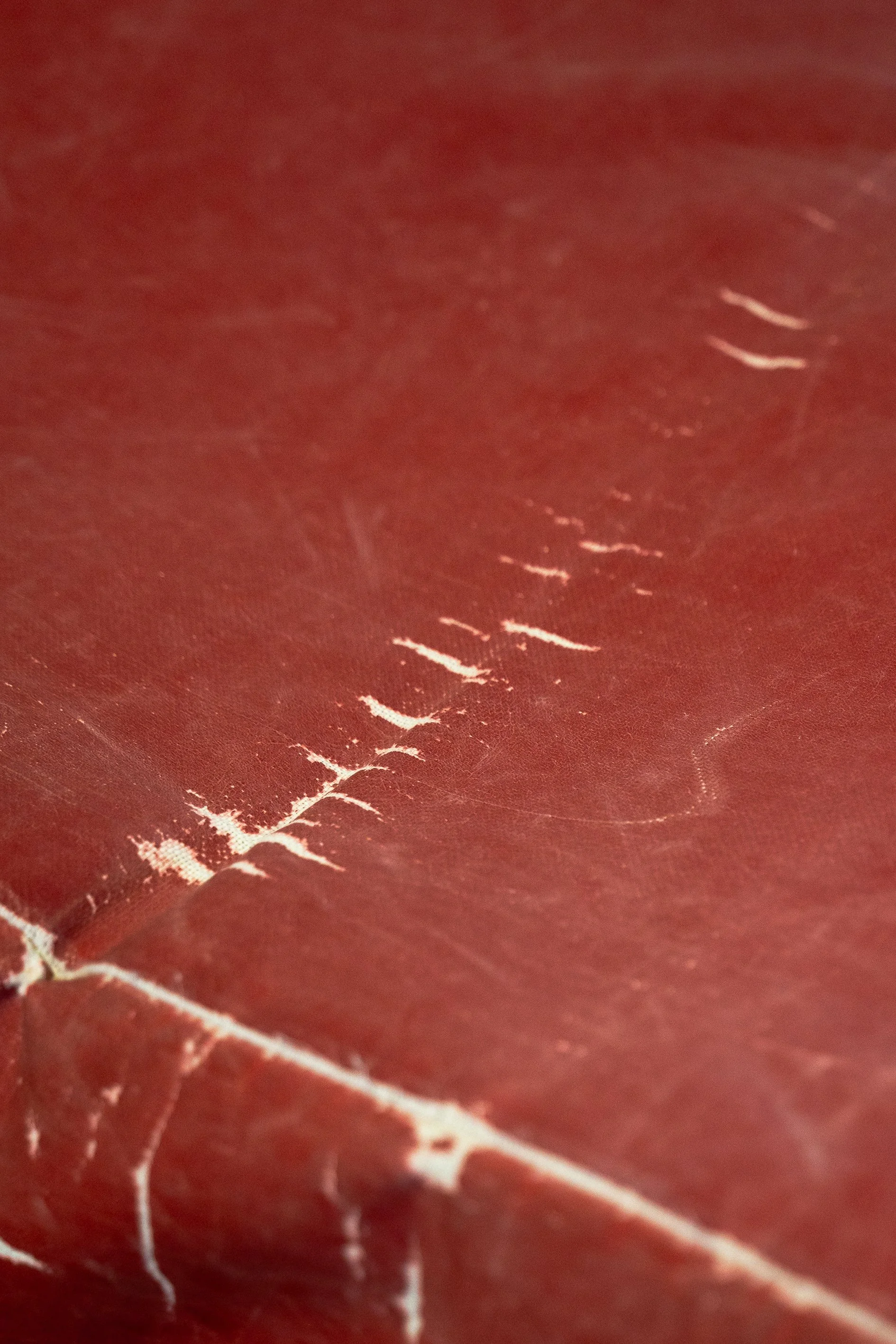 red scars.jpg