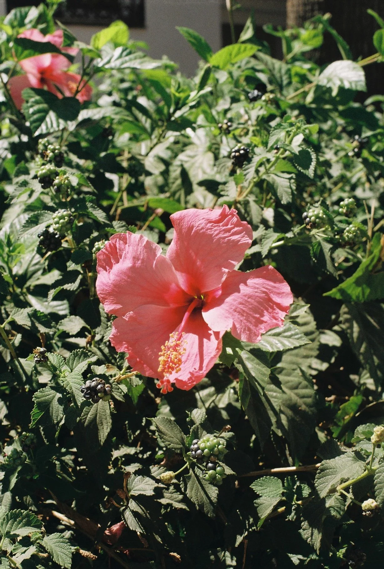 000031.JPG