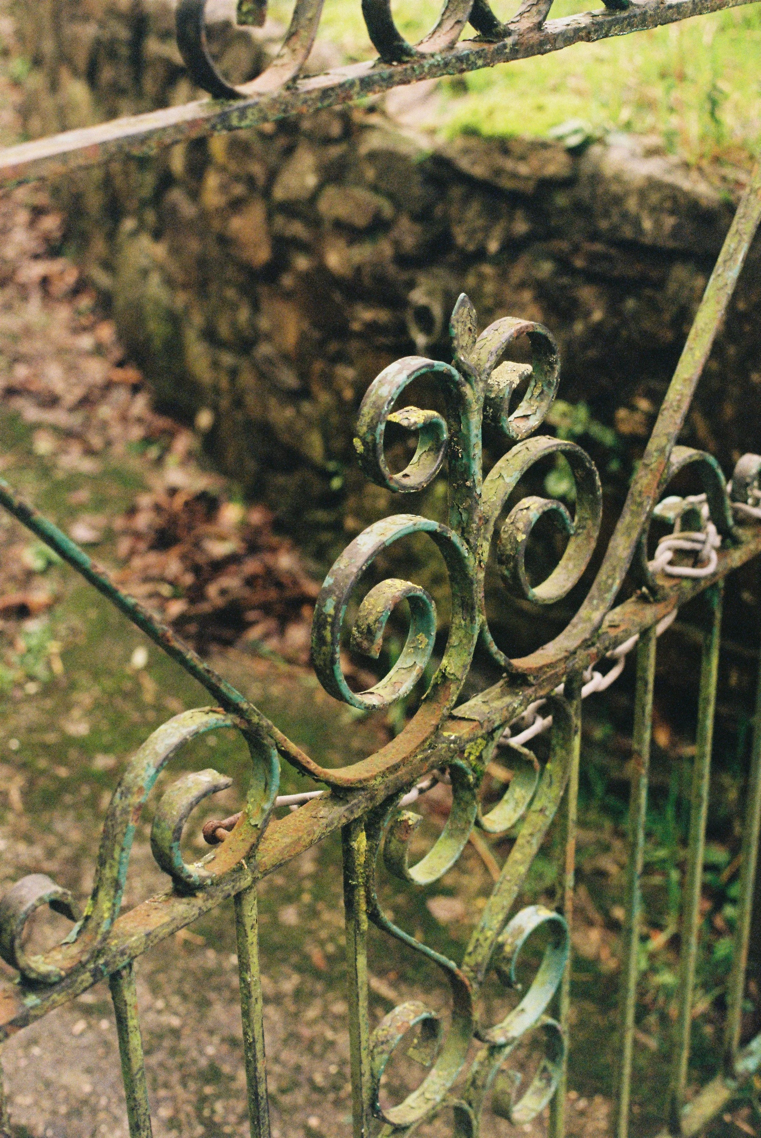 totnes_2026_ (3).JPG