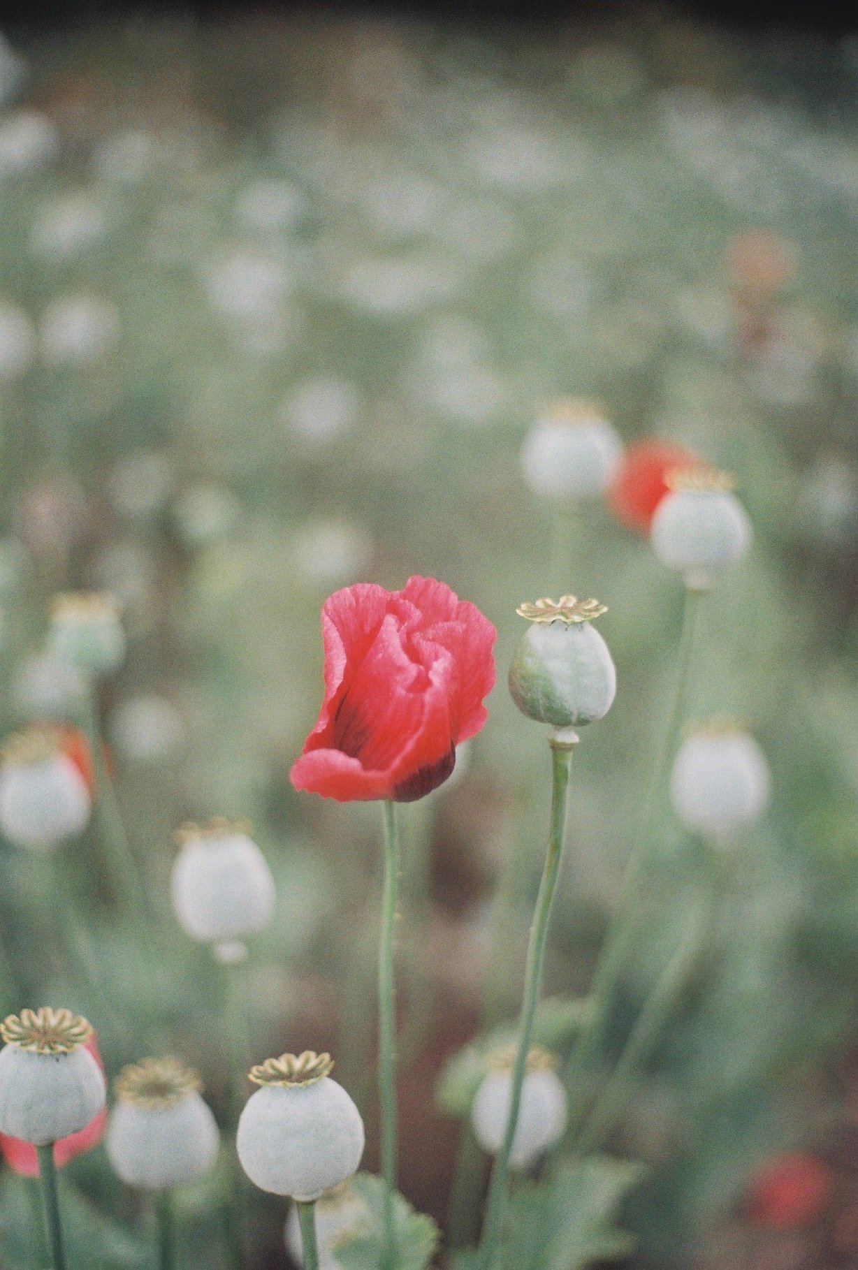 000031.JPG