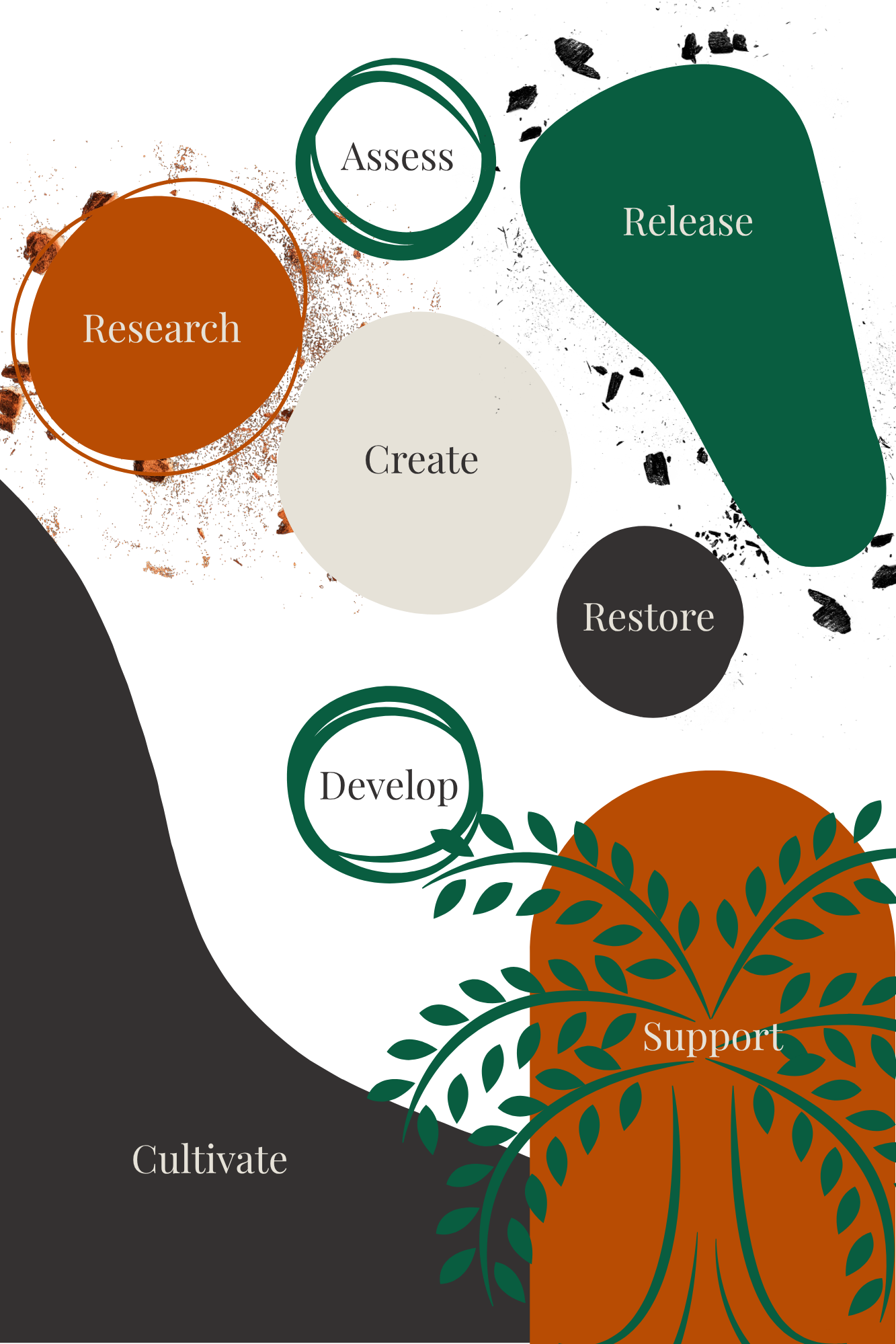 Shapes with words inside each one to represent therapeutic approach.