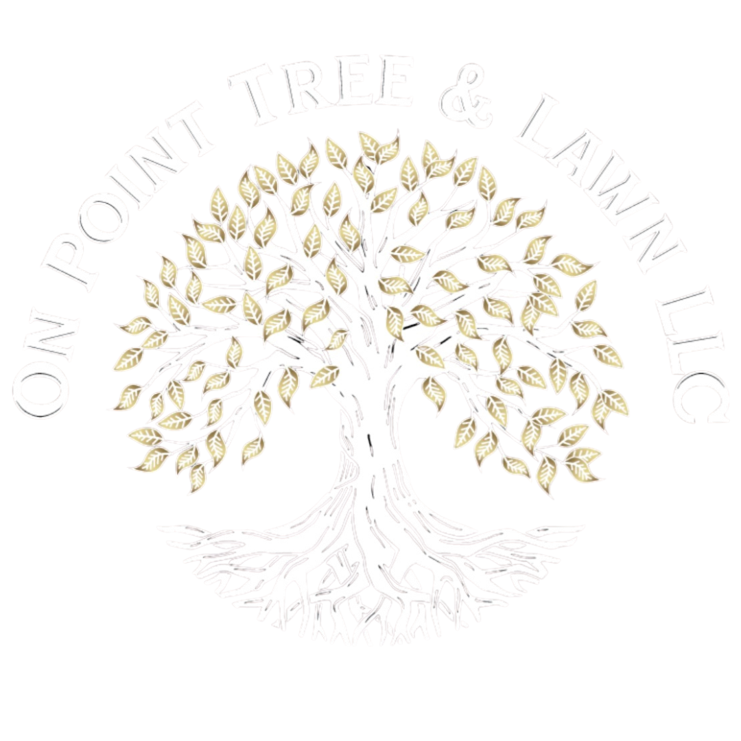 Services — On Point Tree & Lawn LLC