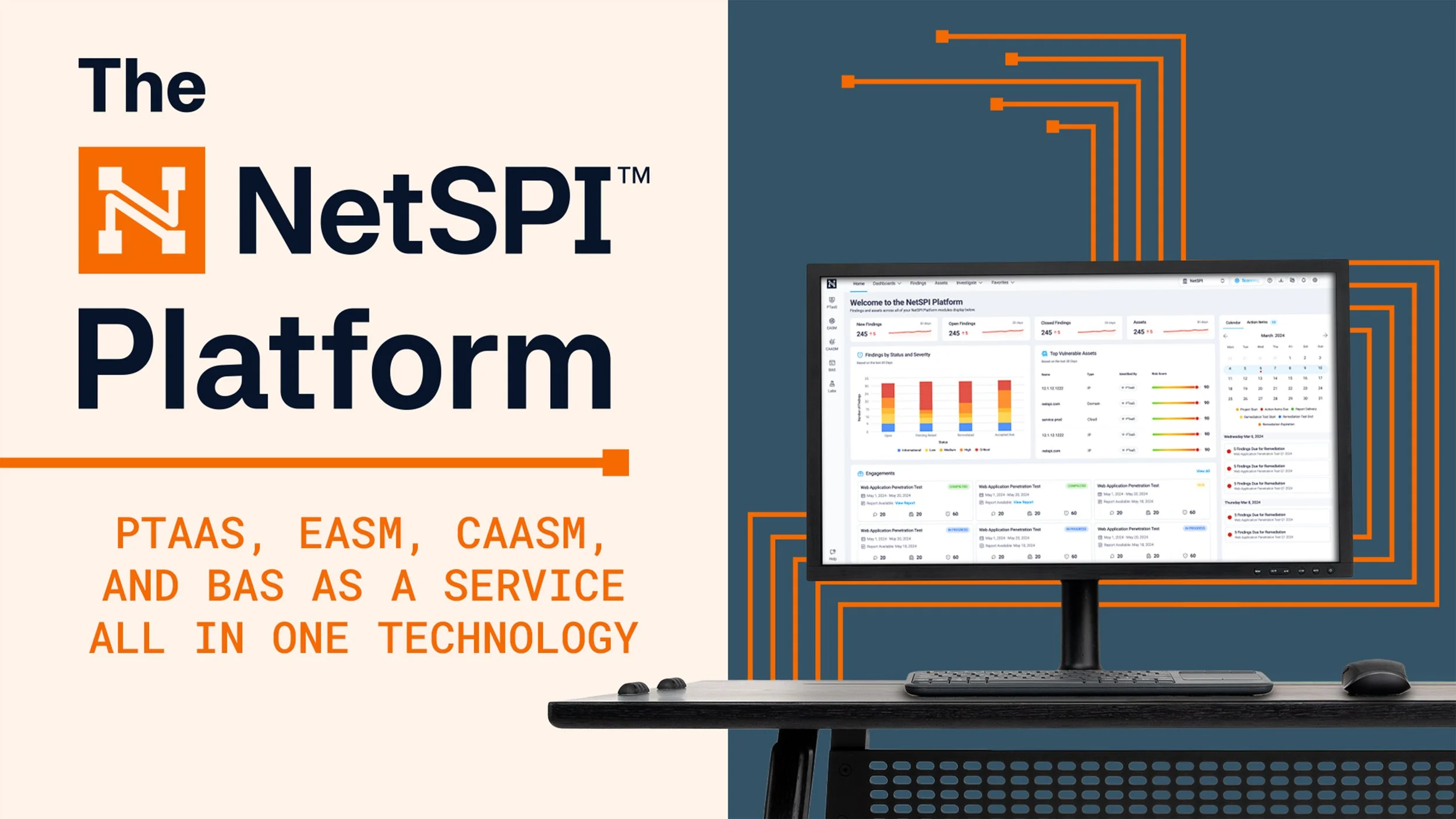 NetSPI Platform Explainer Video
