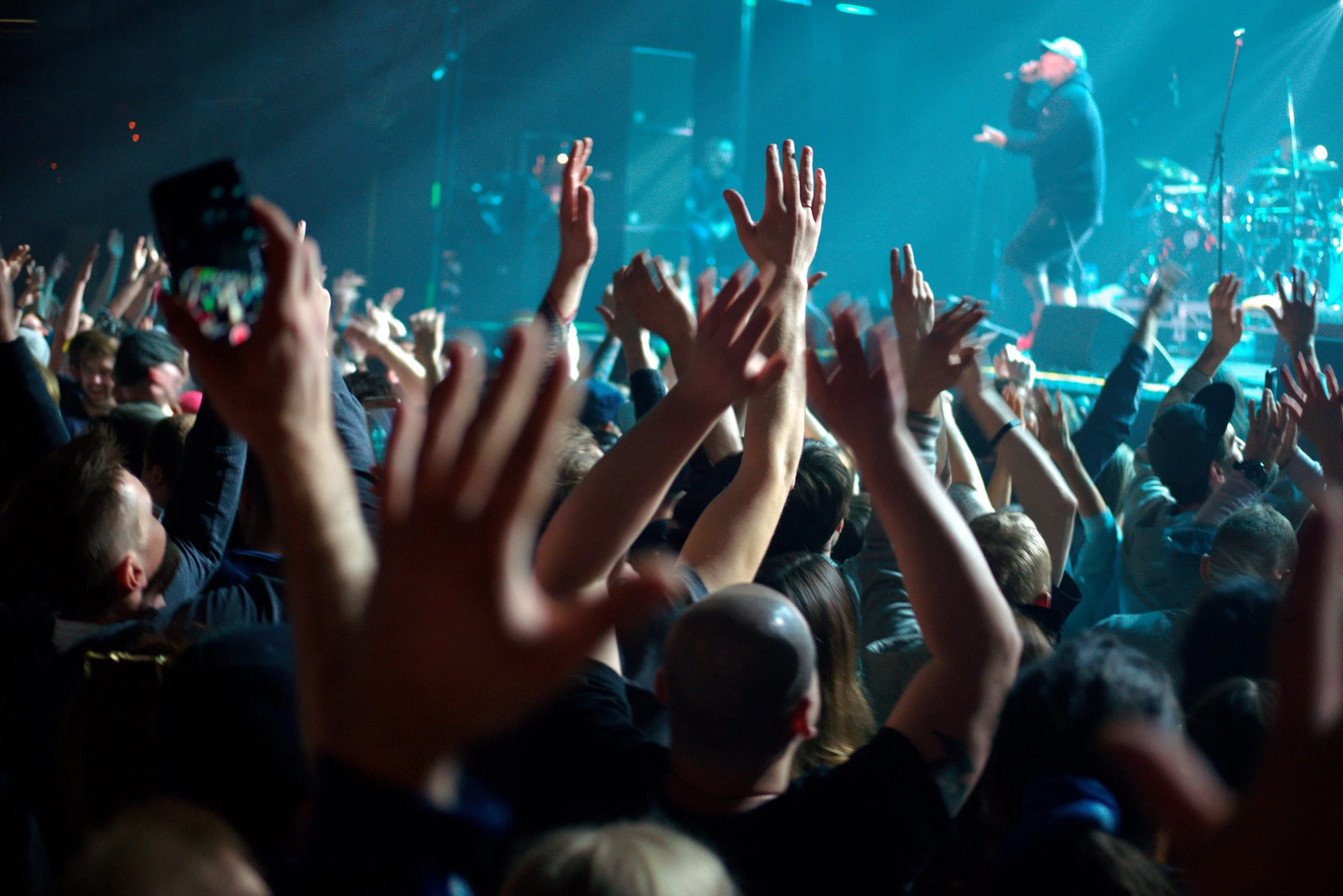 Concert and Fans