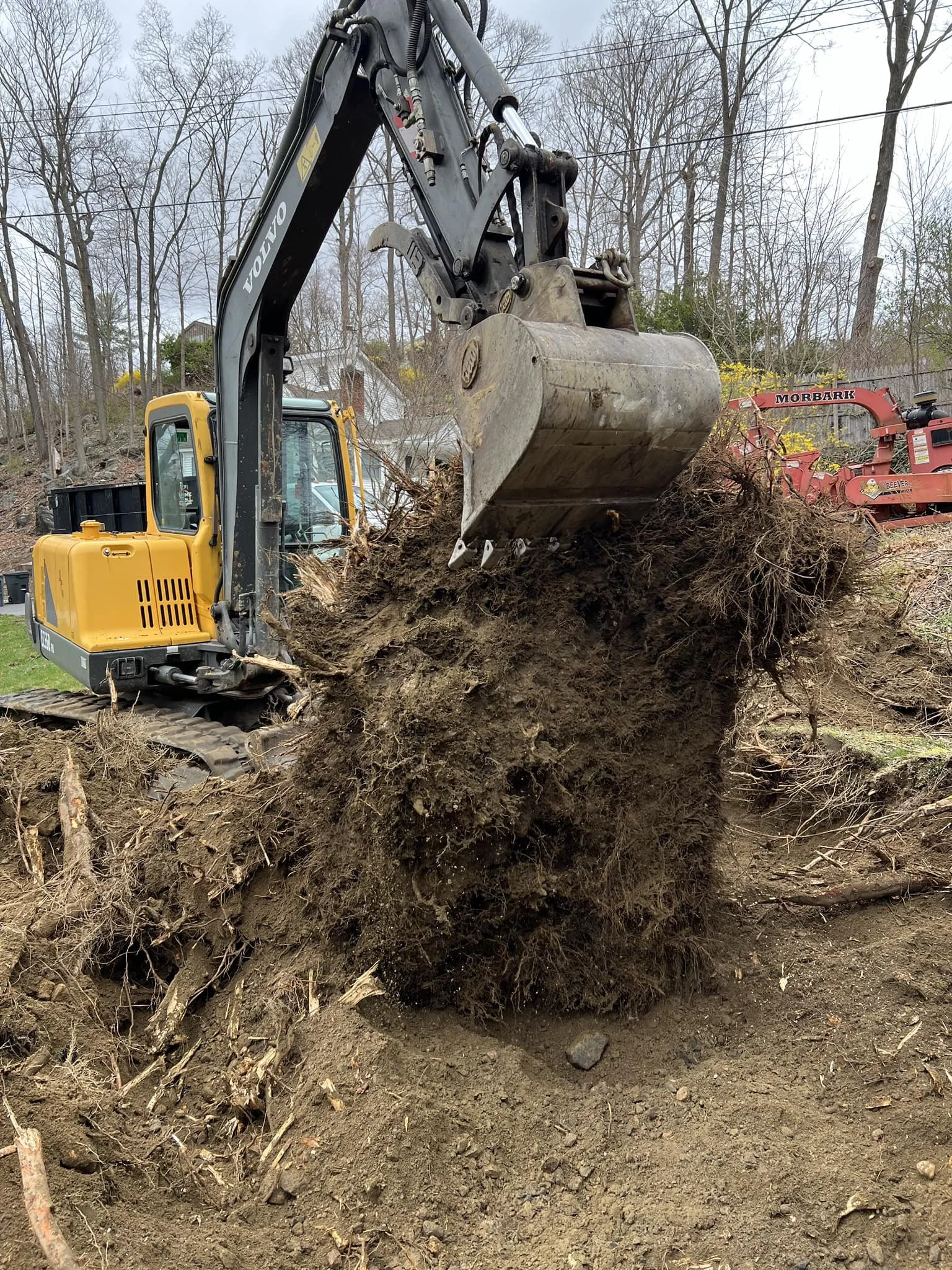 Our excavator lifting a large stump out of the ground. Removal of stumps.
