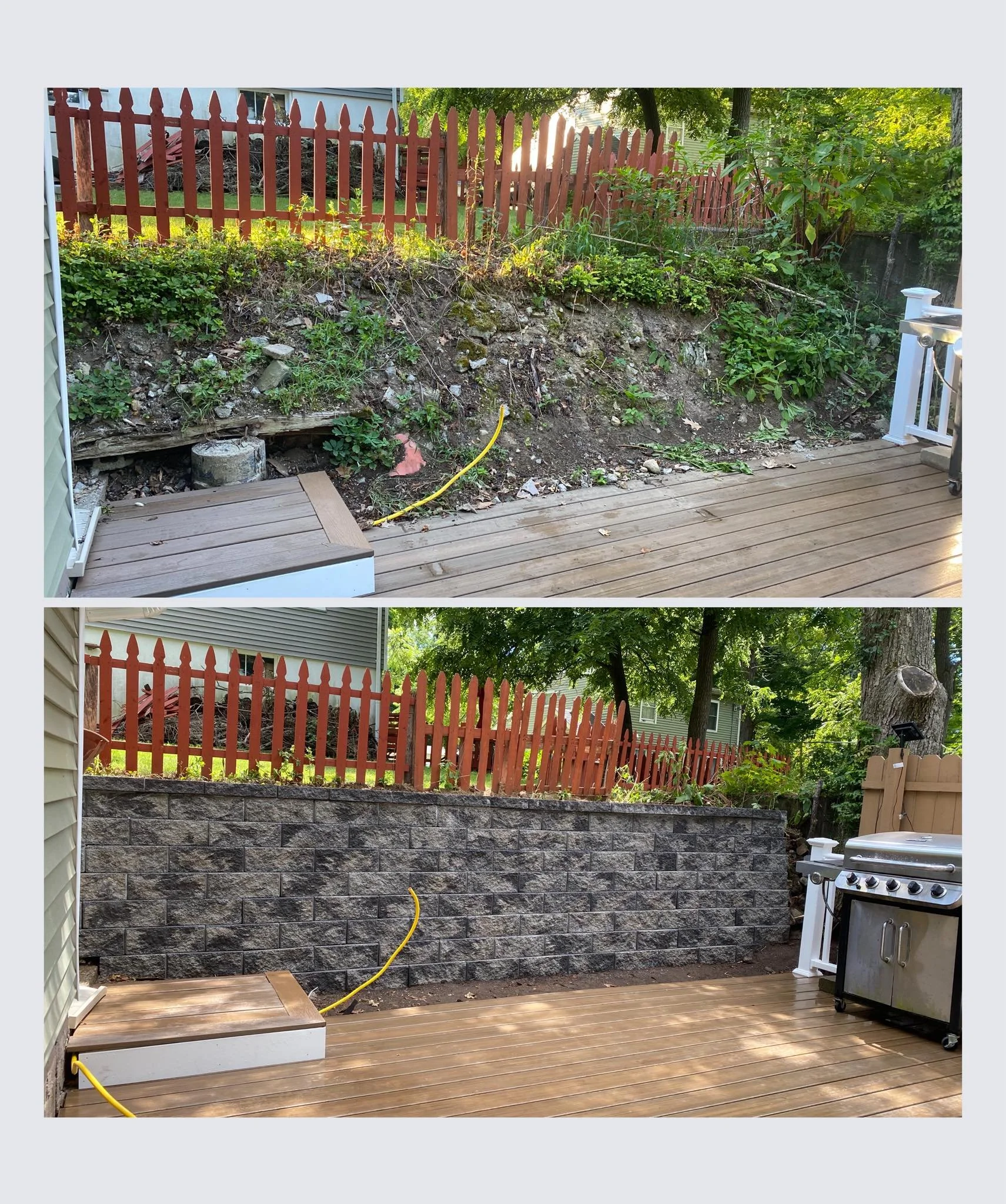 Three neatly trimmed round trees planted in a row in front of a textured stone wall with greenery on the ground.