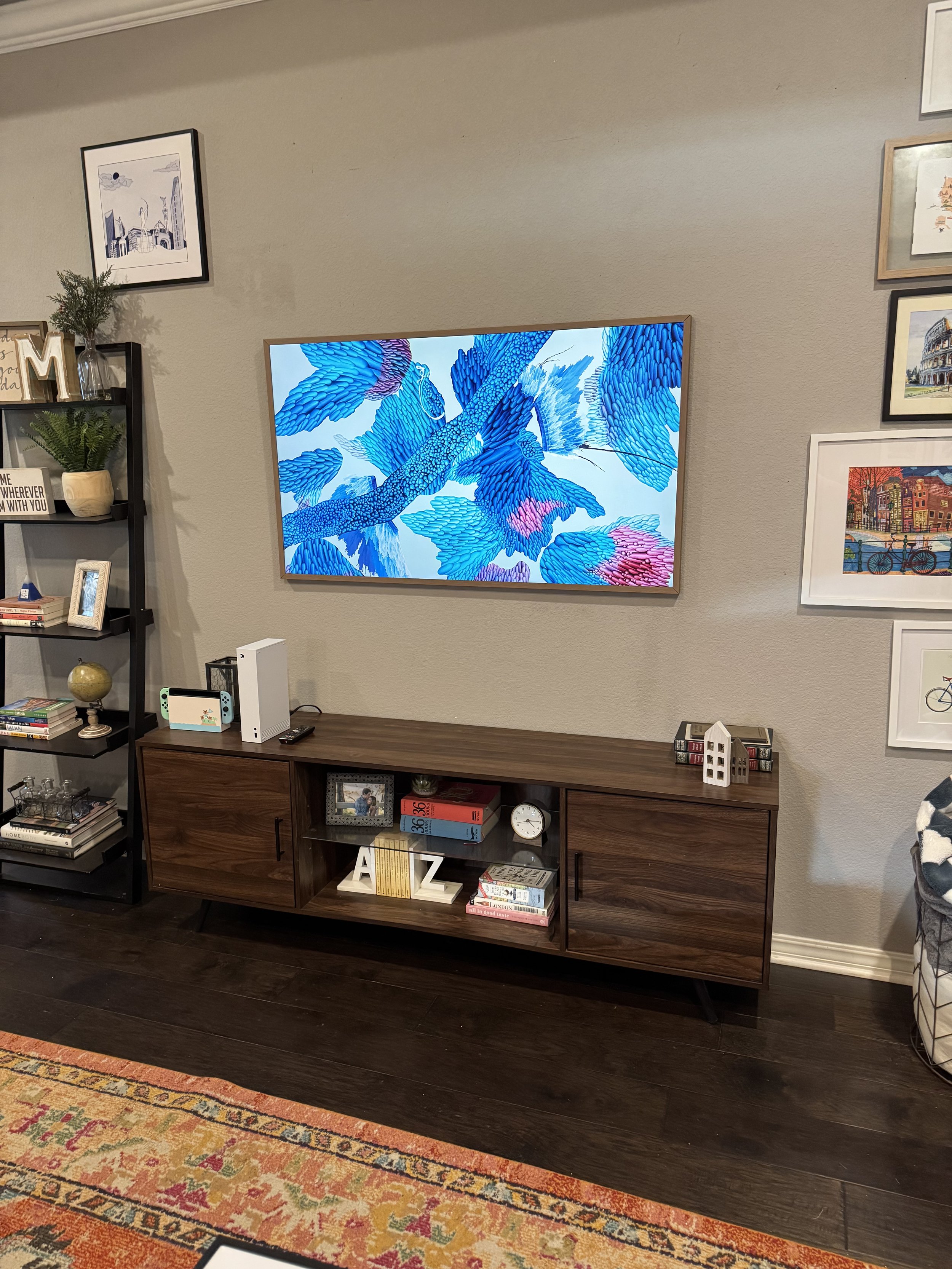 Living room with a wall-mounted flat-screen TV showing a close-up of blue leaves, a wooden TV stand with books, picture frames, and decorative items, a black bookshelf with plants, books, and framed photos, a patterned rug on dark wood floor, and a w