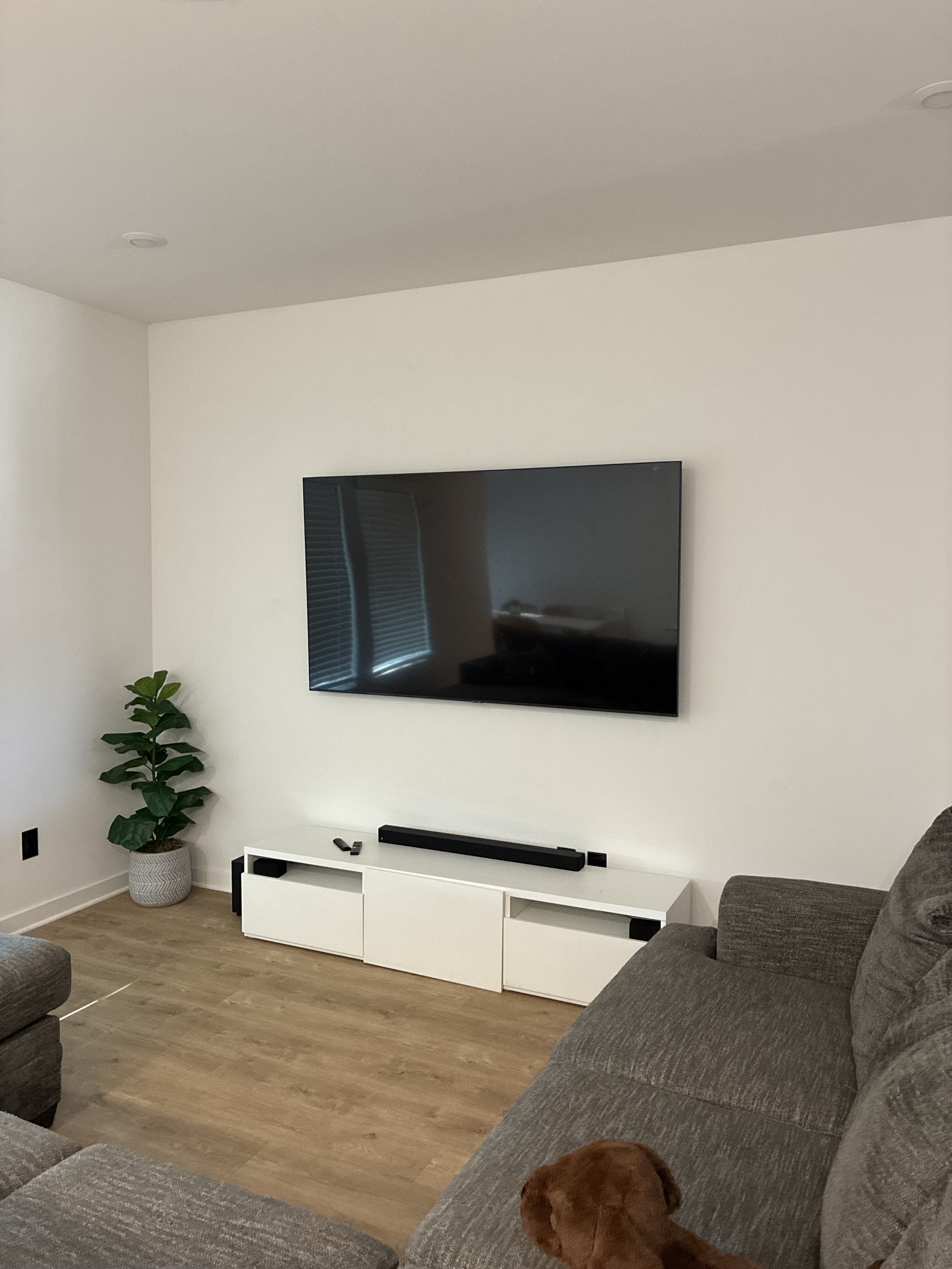 Living room with a wall-mounted TV above a white TV stand, gray sofas, a potted plant, and hardwood flooring.