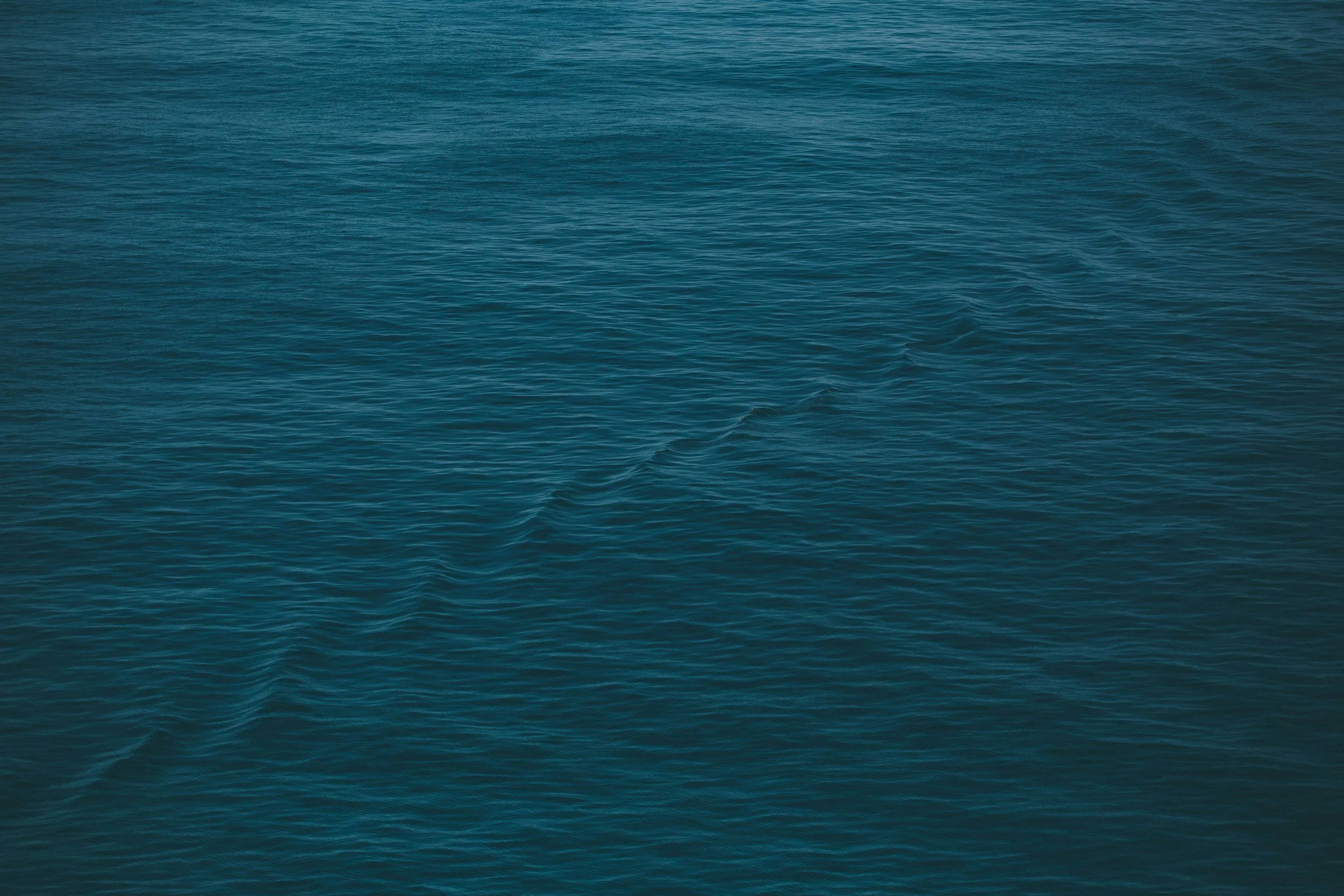 unsplash-image-_GWSw5nzxmM.jpg