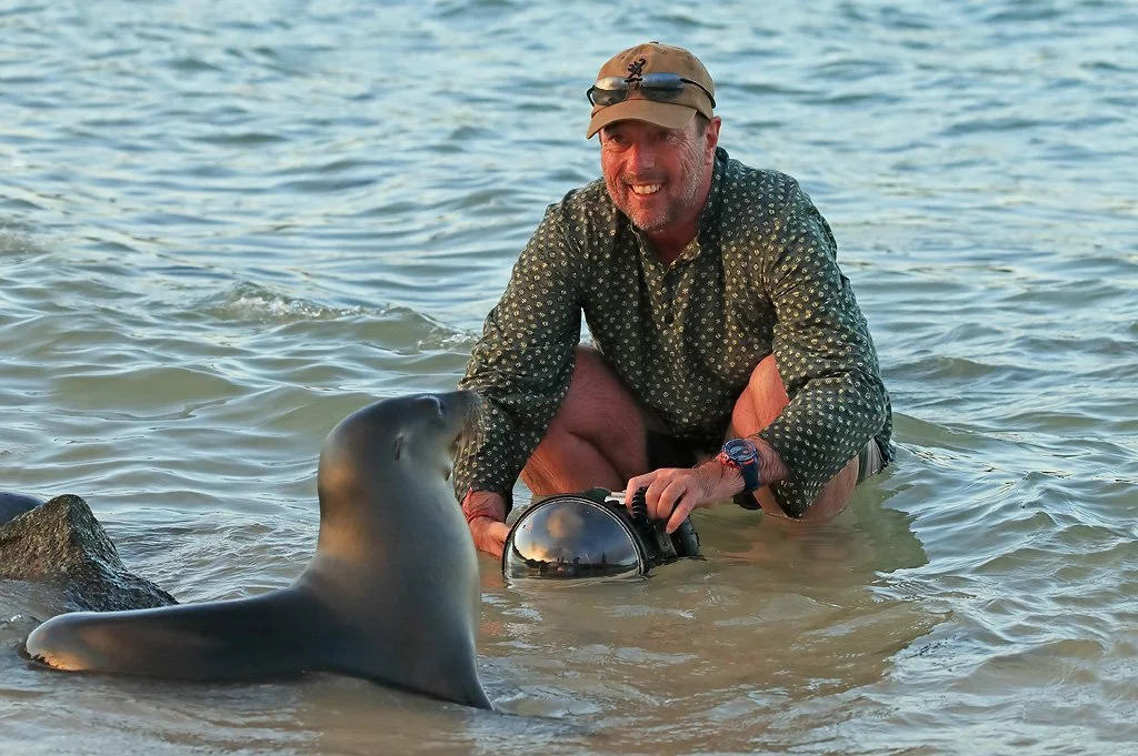 A man in a patterned shirt, shorts, and a cap kneels in shallow water, smiling at a seal that is close to him