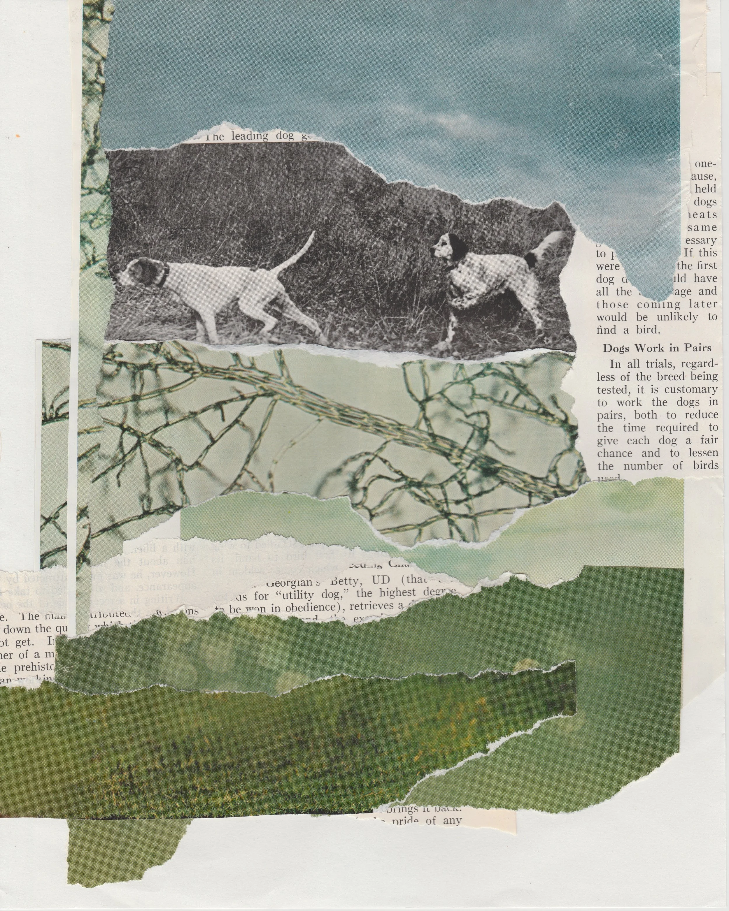Scan 16 (1).jpeg