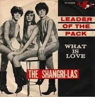 Black and white album cover featuring three young people sitting; red and white text reads 'Leader of the Pack,' 'What is Love,' and 'The Shangri-Las.'