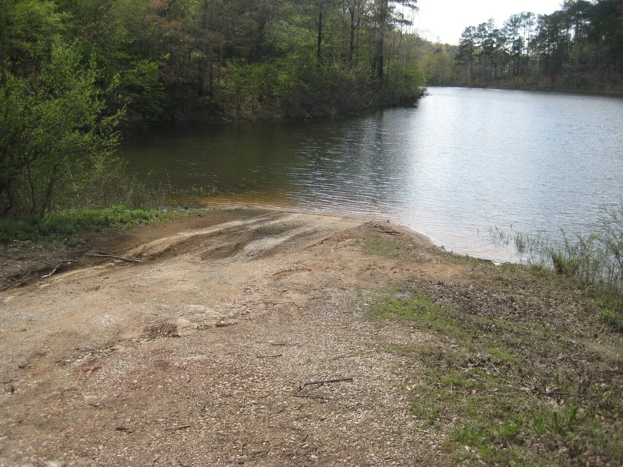 A dirt path leading to a calm lake, surrounded by trees with green foliage.