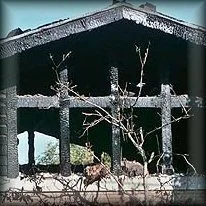 The burned out library