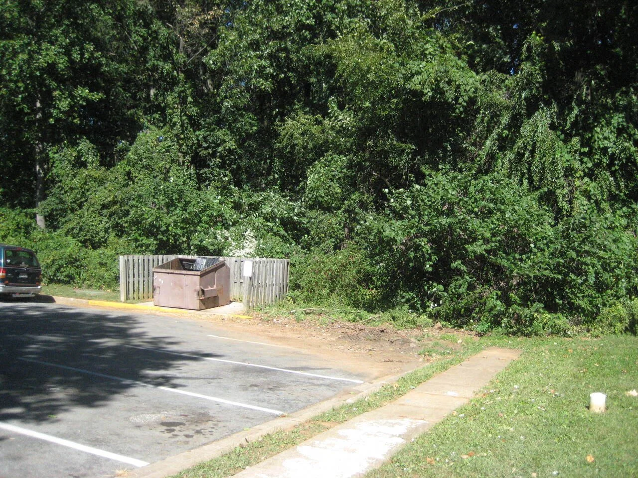 Empty parking lot with a large trash dumpster near a fence and dense green trees in the background.